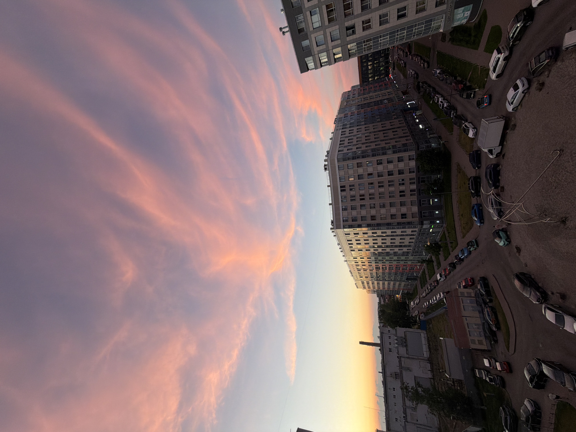 Summer solstice evening across a Russian city, cat included
