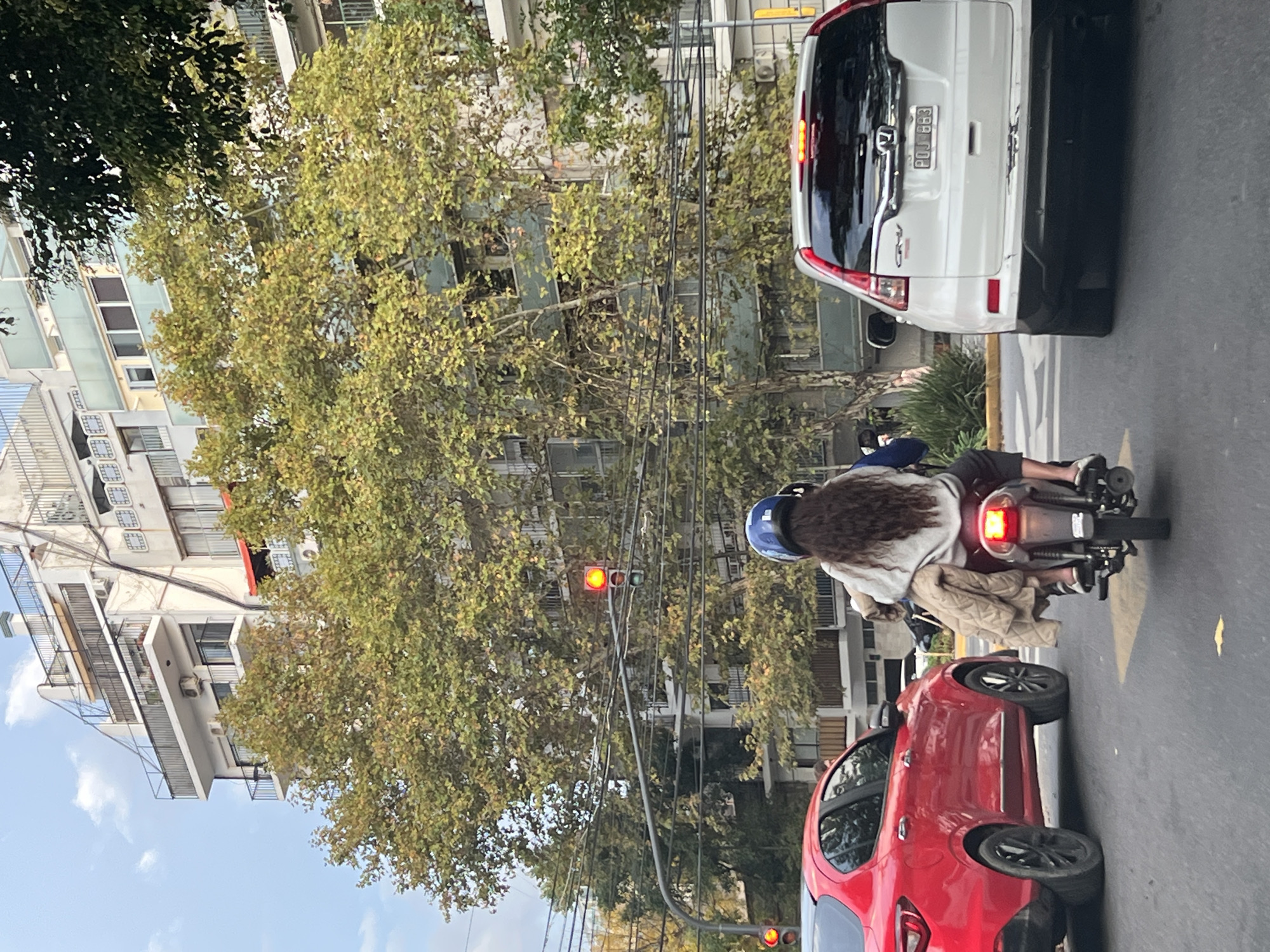 Evening traffic flows through Buenos Aires tree-lined avenue