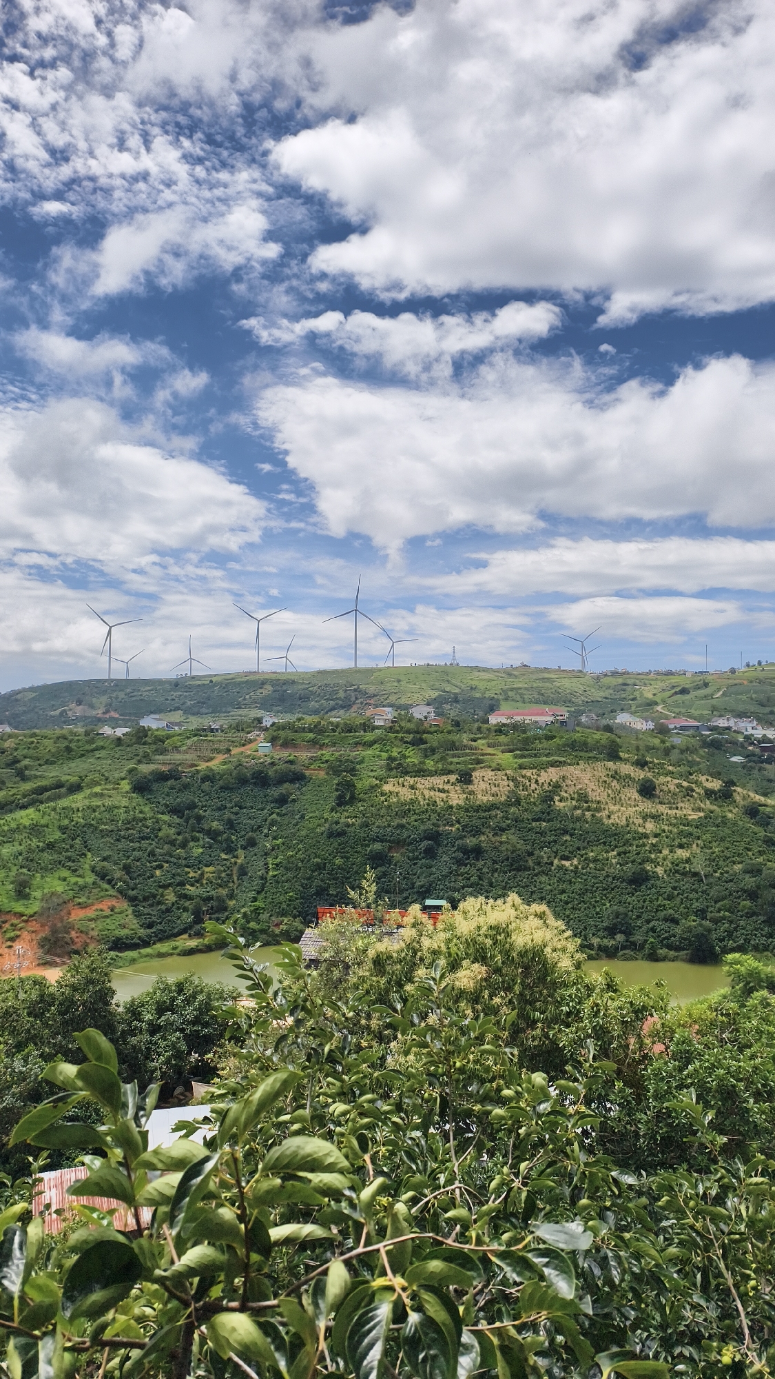 Hilltop views of Đa Thọ's green valleys and wind turbines