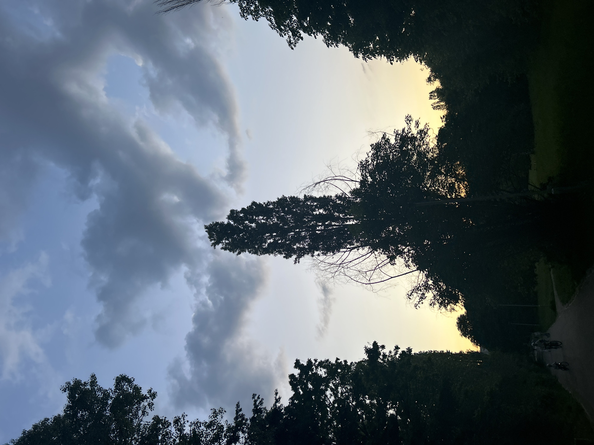 Afternoon scenes documented across Sofia during changing weather