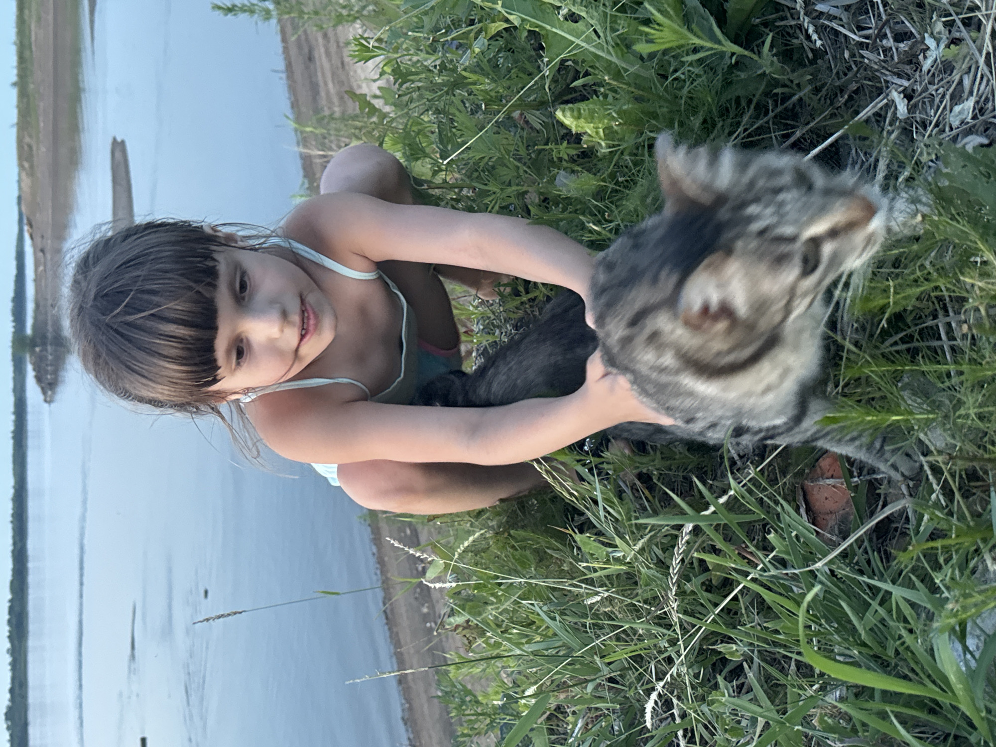 Tabby cat by the lake at golden hour, Мичуринское