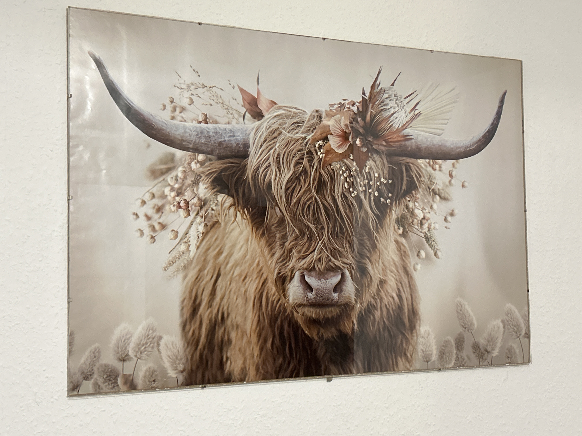 Evening indoor scenes with Egyptian figurines and Highland cattle art