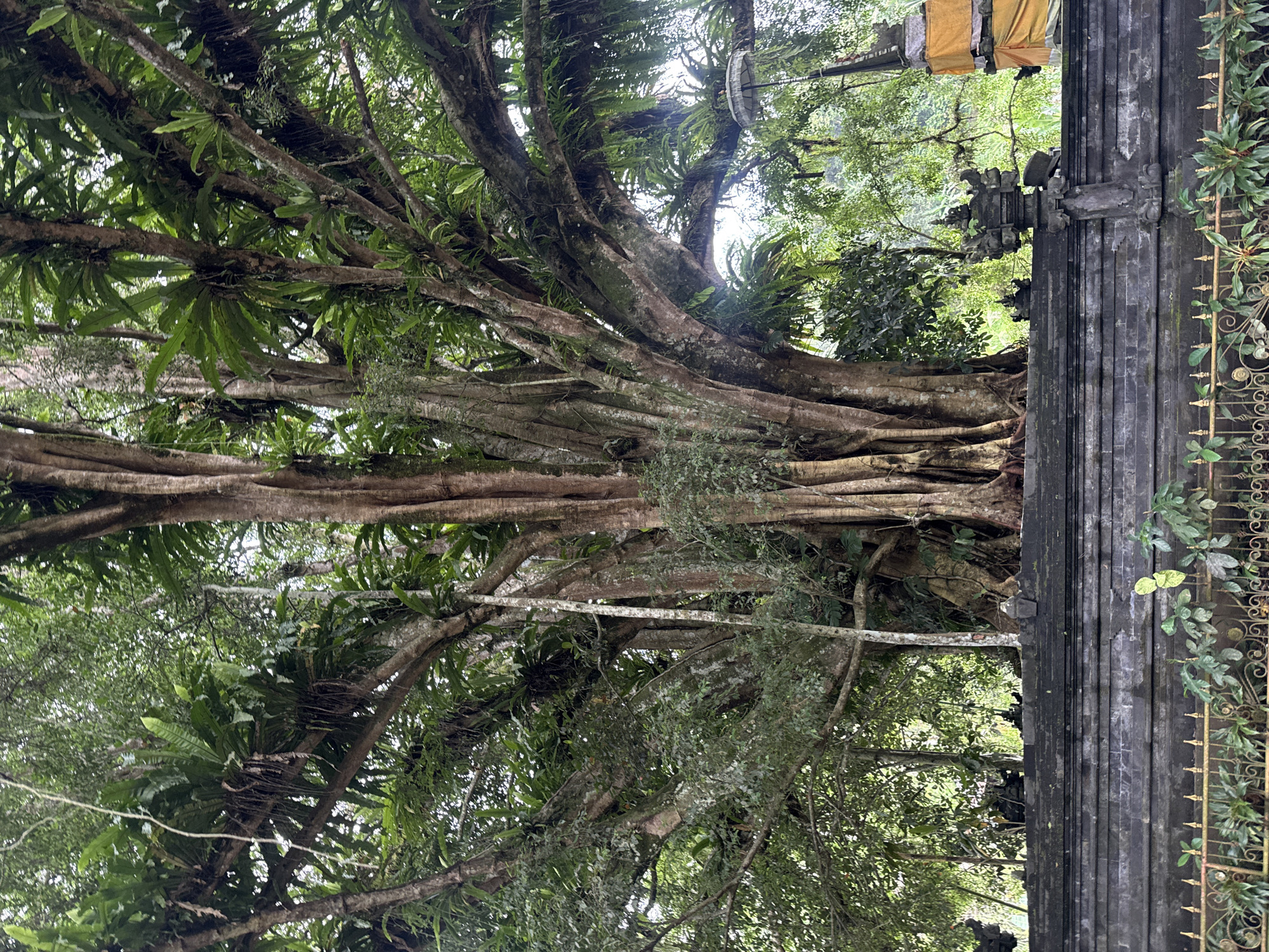 Tourists visit traditional Balinese temple grounds in Tampaksiring