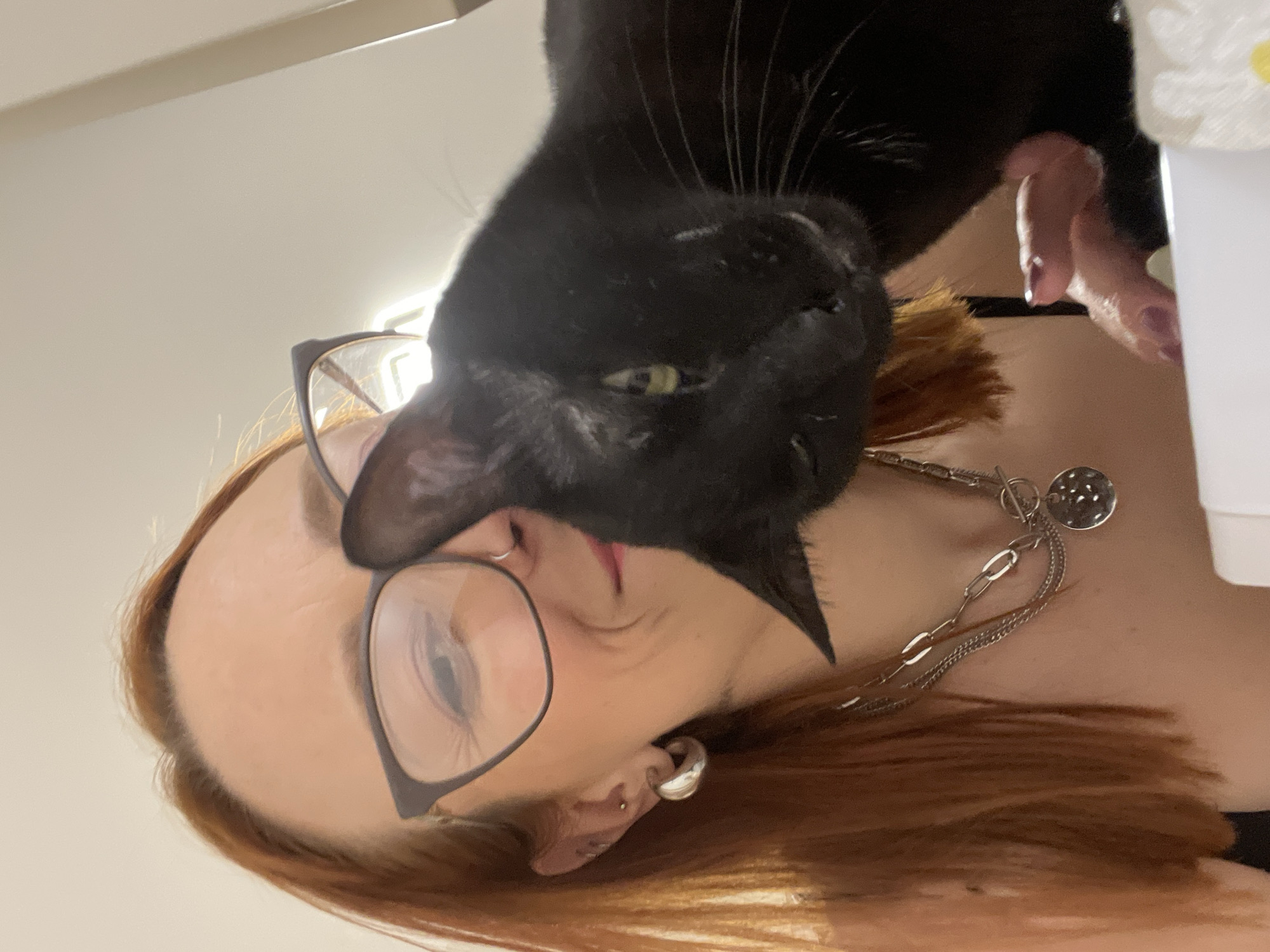 Two cats, one Barcelona apartment, one evening