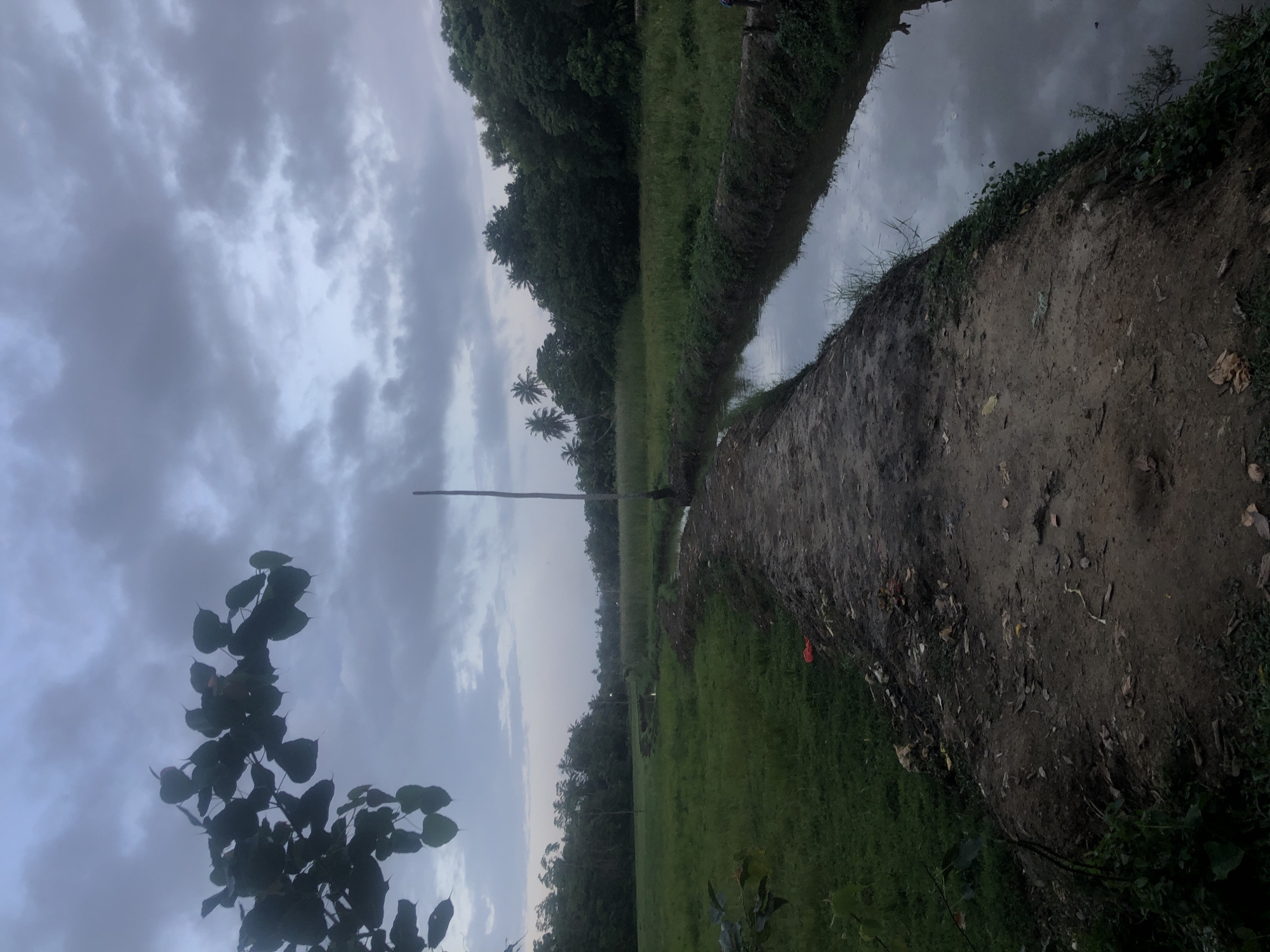 Rural Ahangama scenes captured: pathway, door amid tropical foliage
