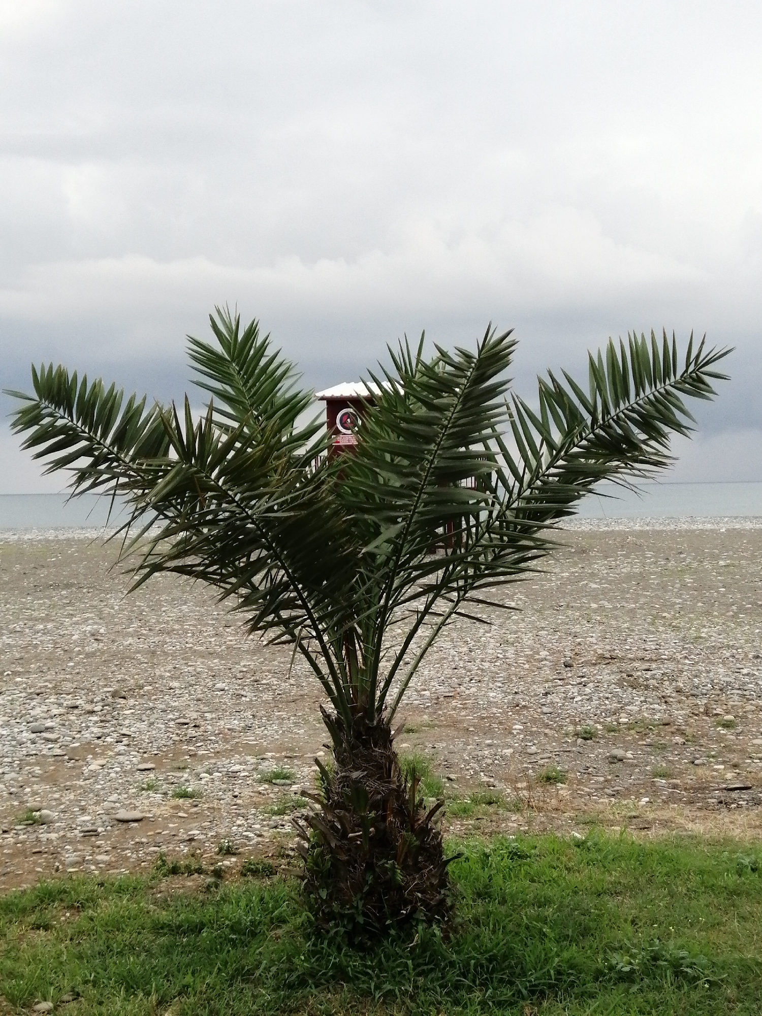 Batumi, Georgia