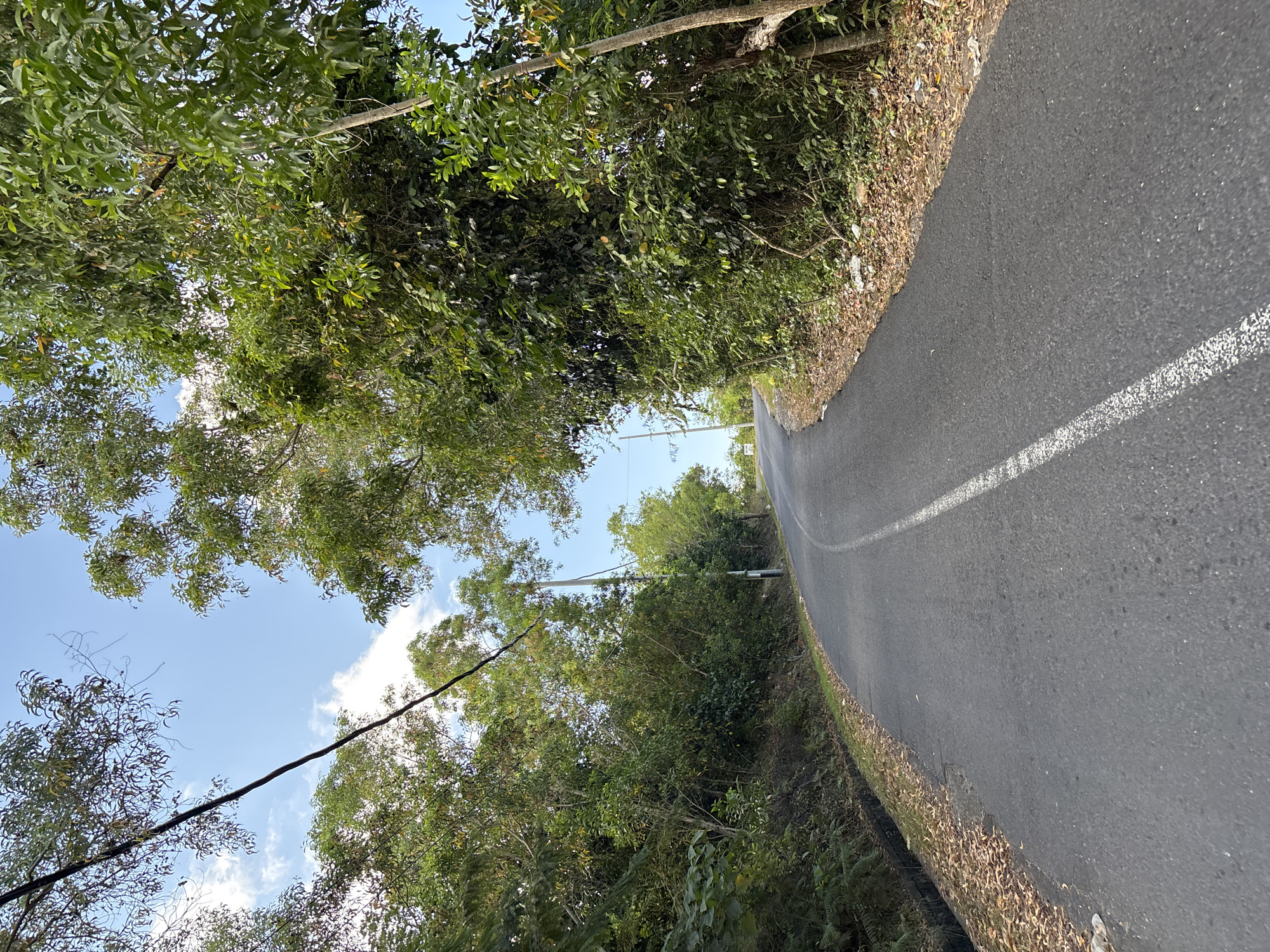 Tropical road journey documented through Kuta Selatan, Indonesia