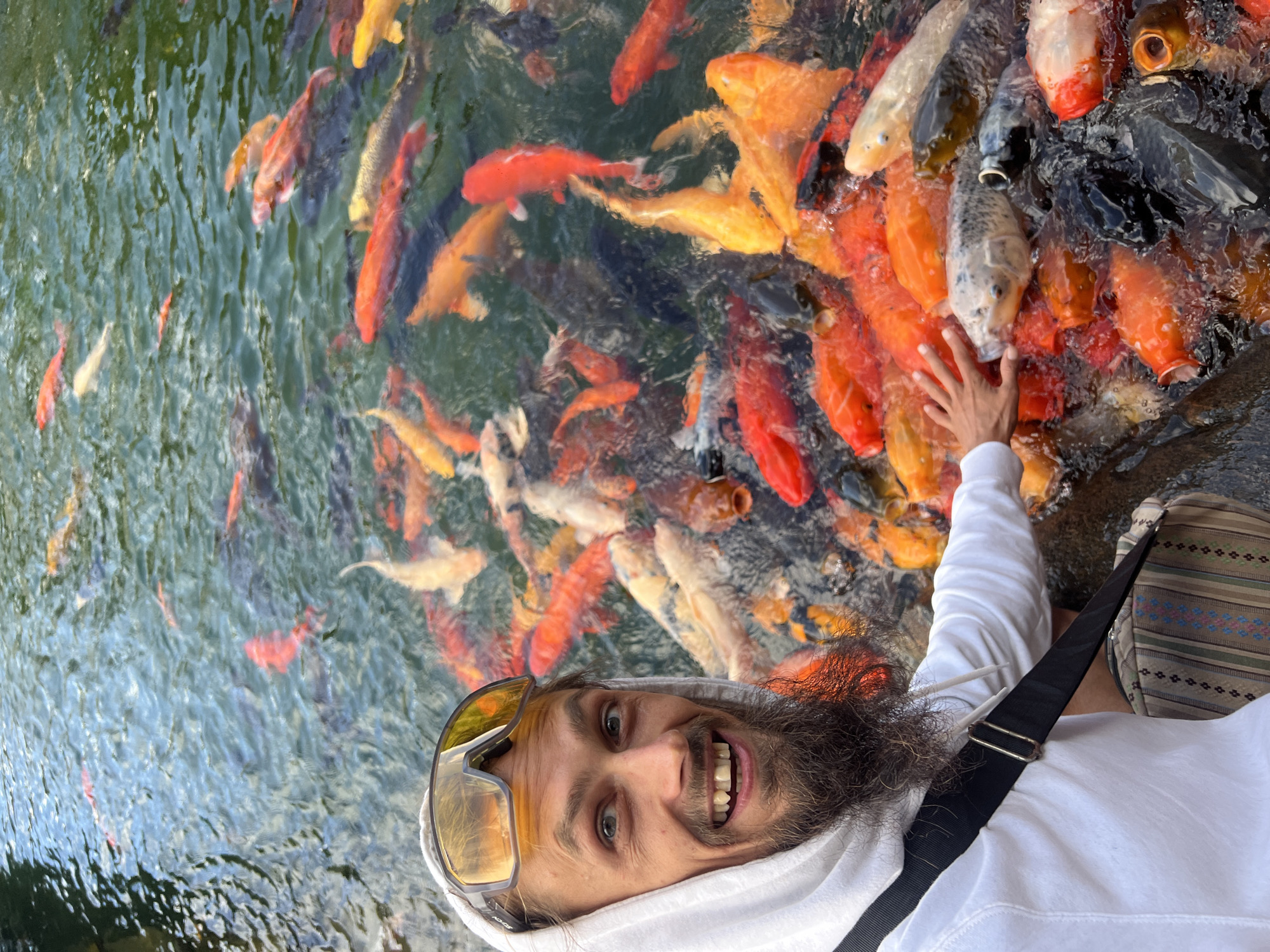 Koi pond feeding session and selfies at a scenic overlook