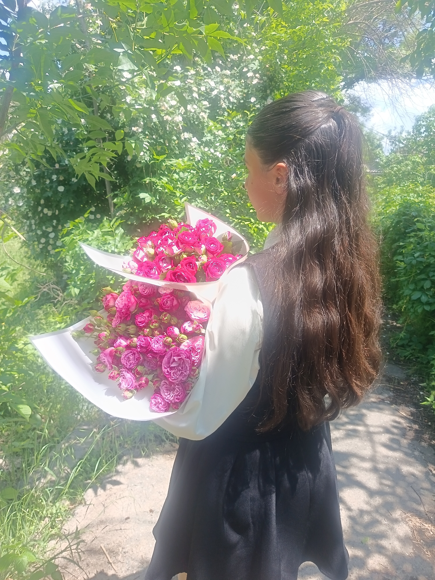 Woman photographs pink roses amid rural road traffic, piano lesson