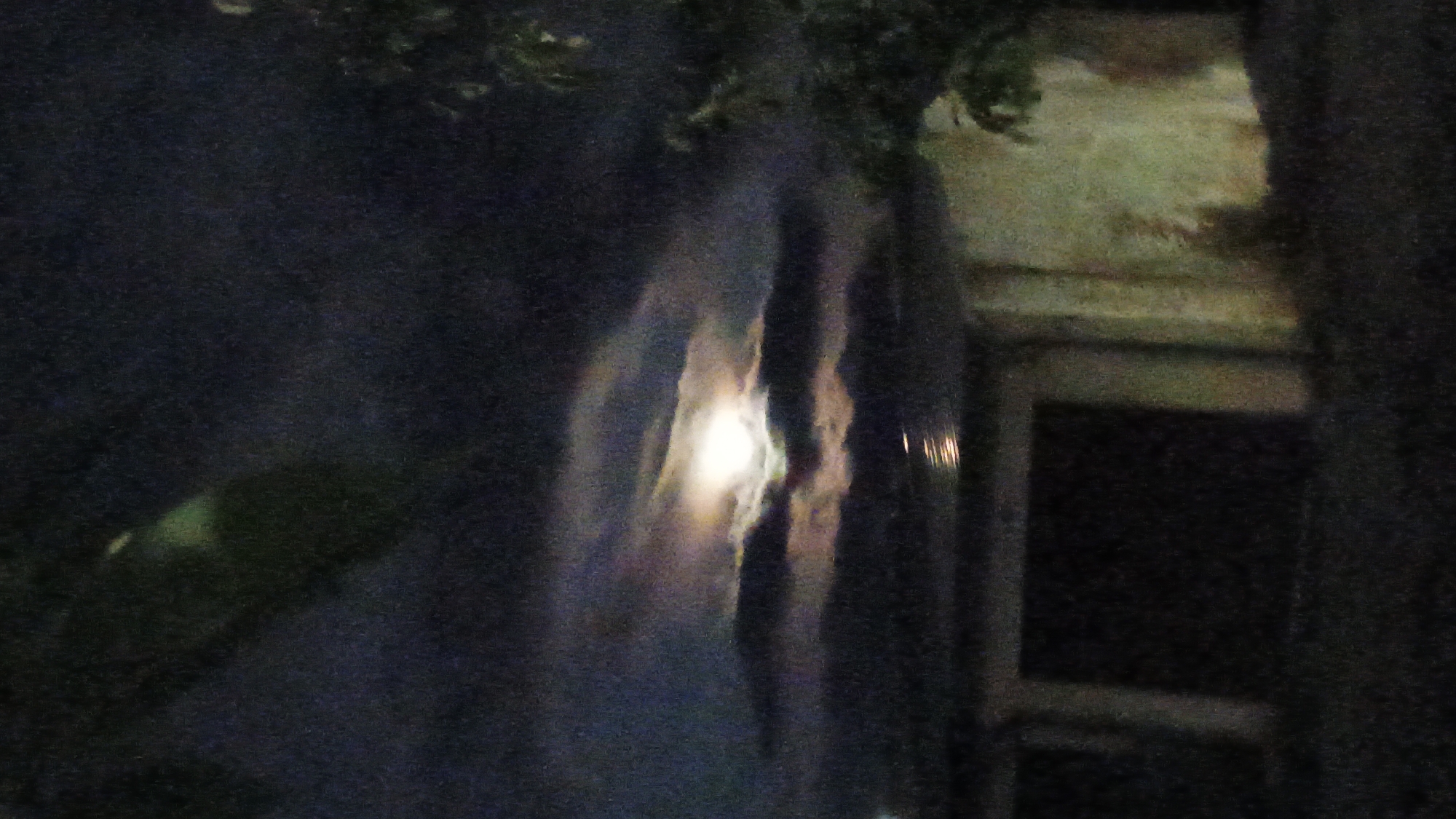 Night walk through Sokolov under a bright full moon