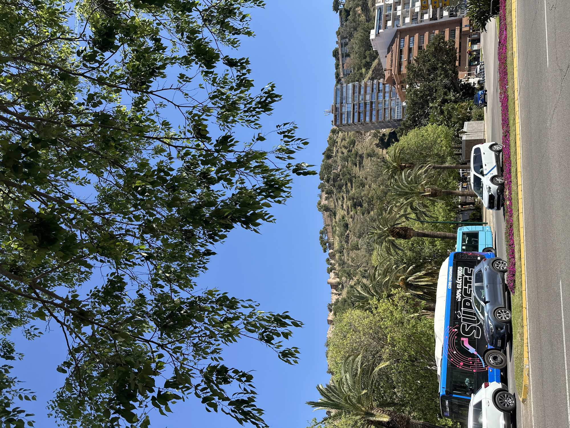 Morning documentation of Málaga landmarks and streetscapes under clear skies