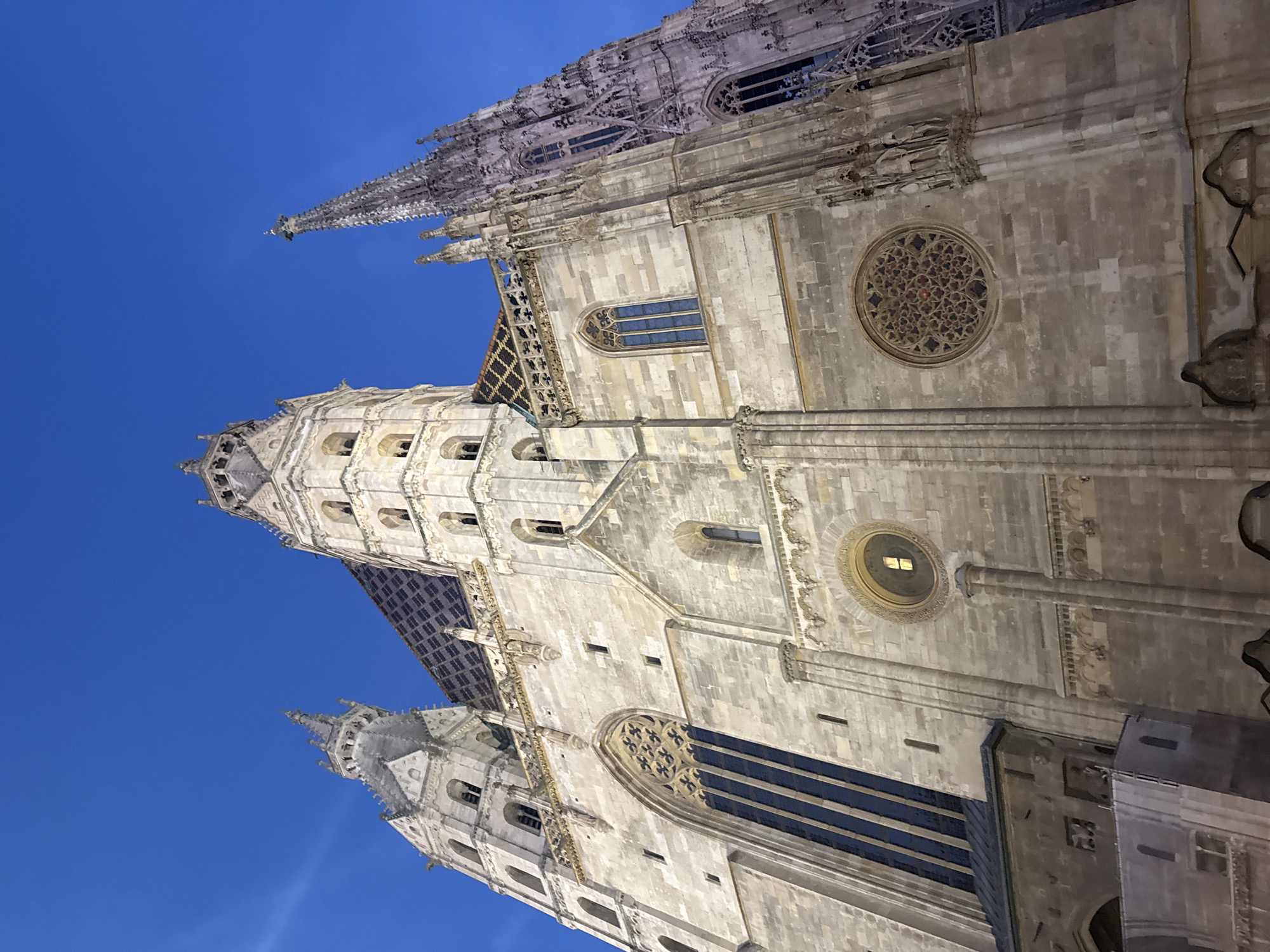 St. Stephen's Cathedral at blue-hour twilight, Vienna
