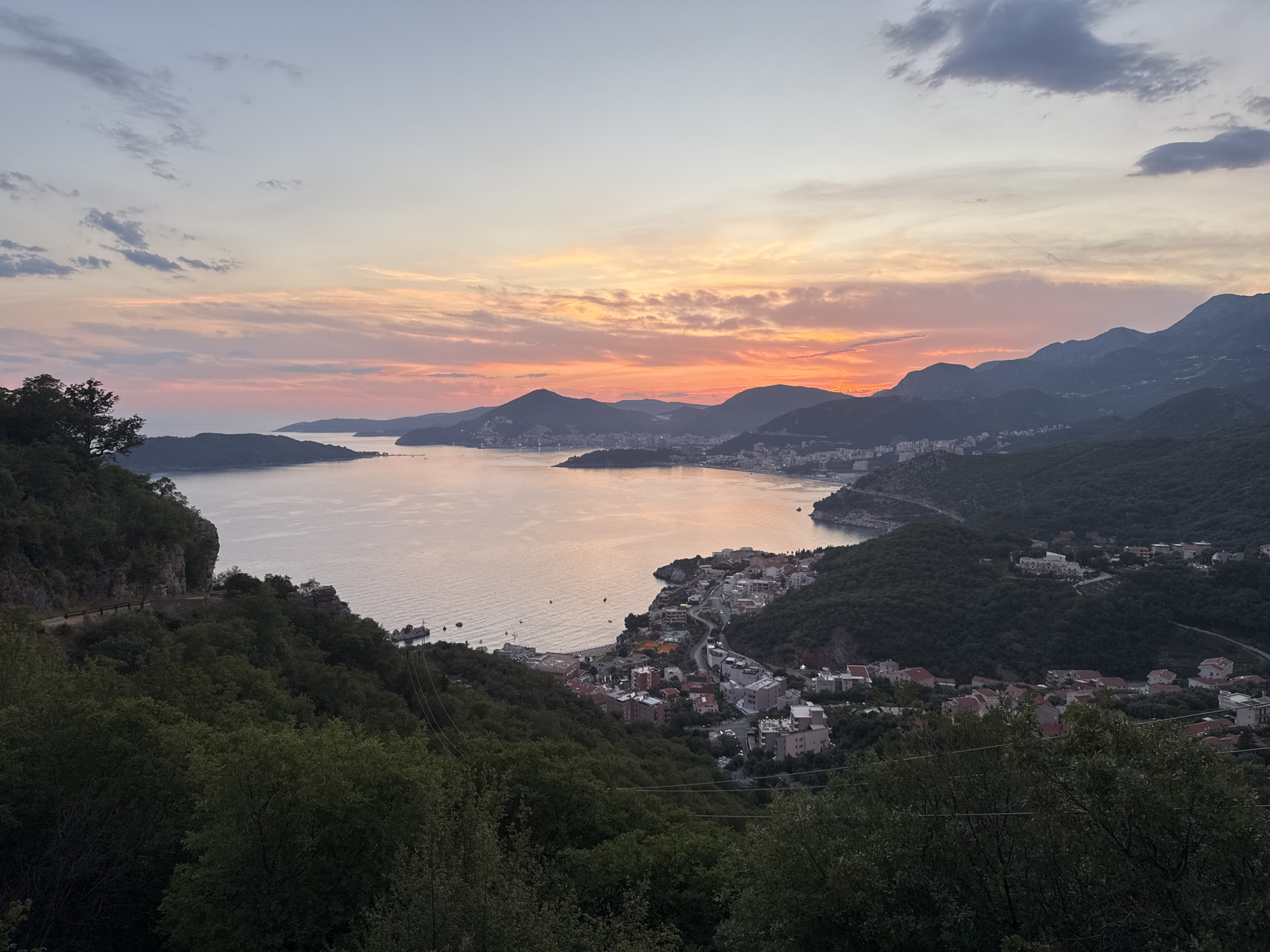 Sunset coast, garden blooms, and ants — a Mediterranean evening in detail