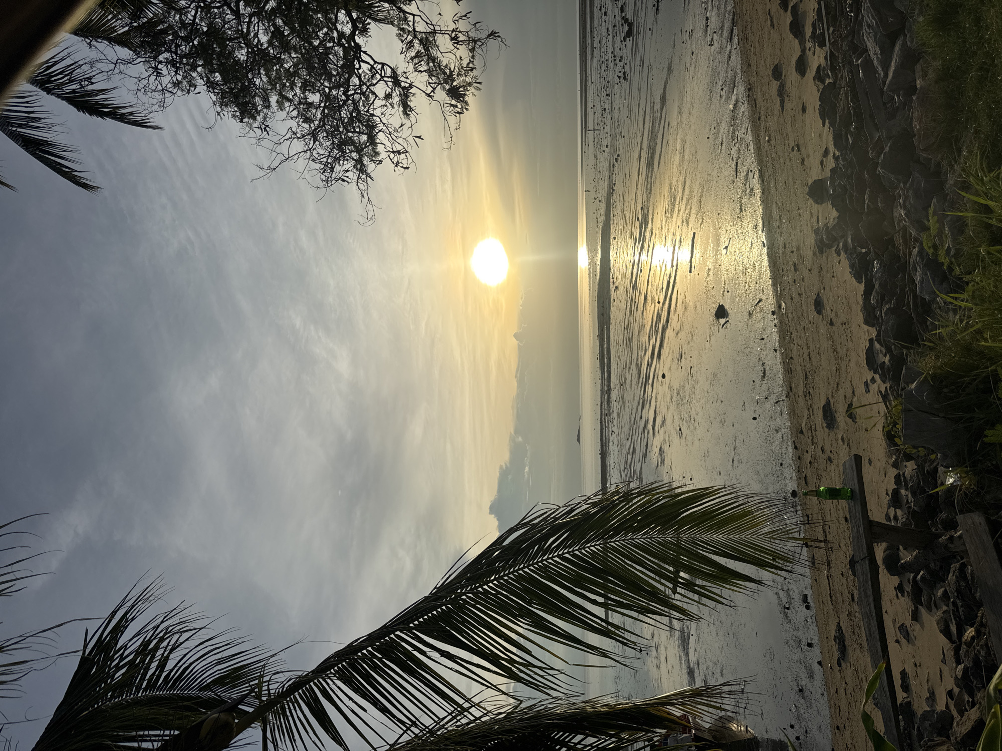Sunset light and palm silhouettes on Koh Phangan's shore