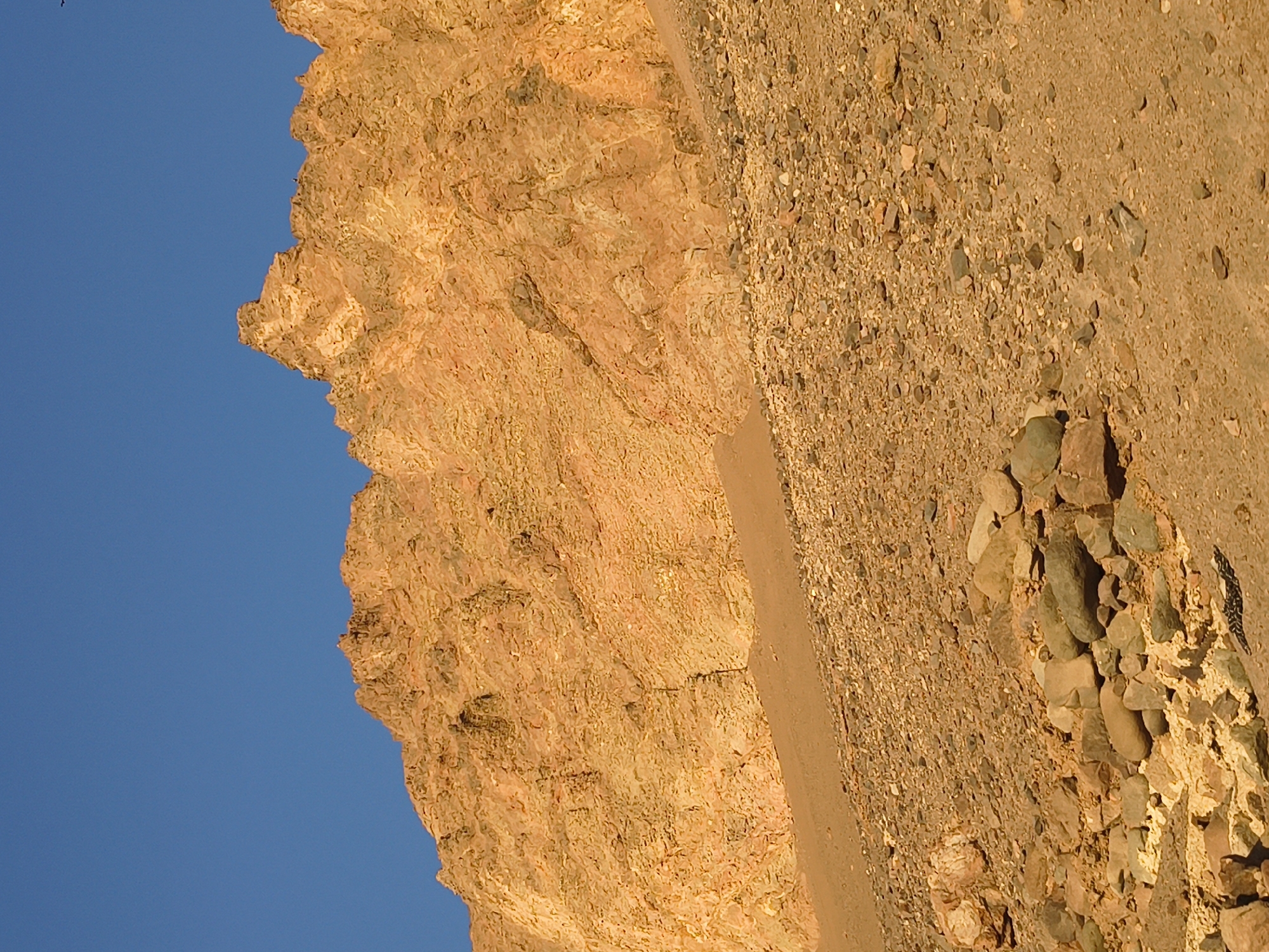 Rocky cliff face observed in Arica, Chile