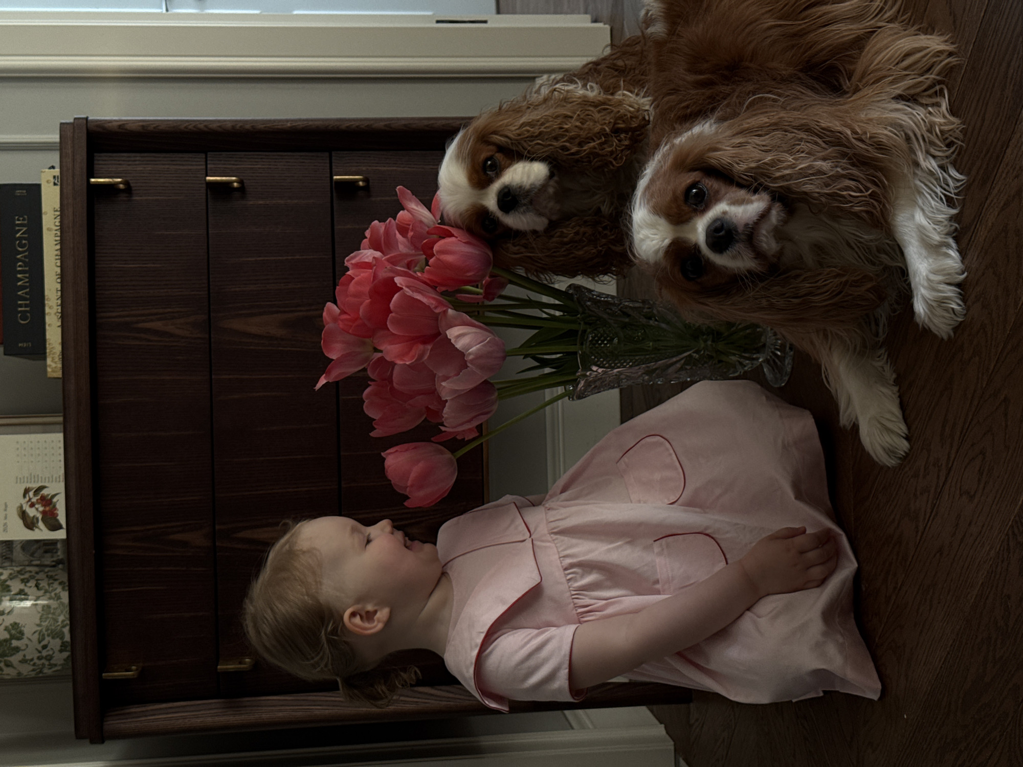 Moscow resident captures quiet domestic moments with pets and flowers