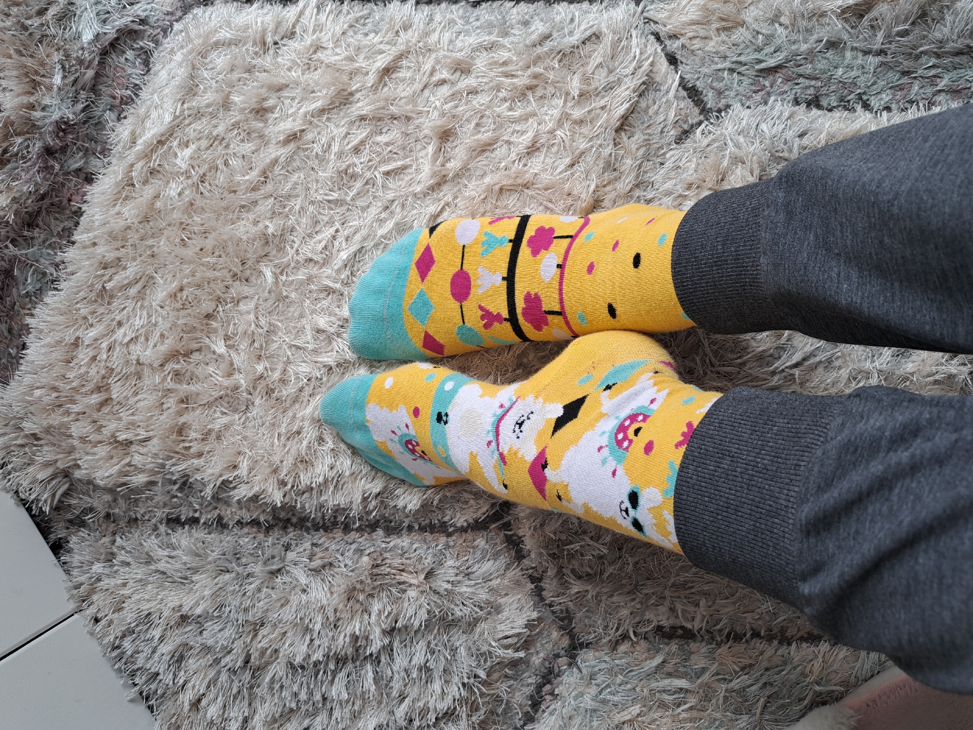 Colorful socks and sweatpants captured in casual indoor moment