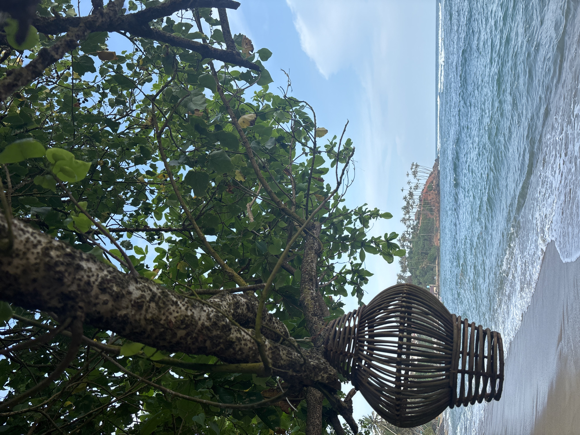 Coastal scenes documented in Thalaramba, Sri Lanka featuring boats and vegetation