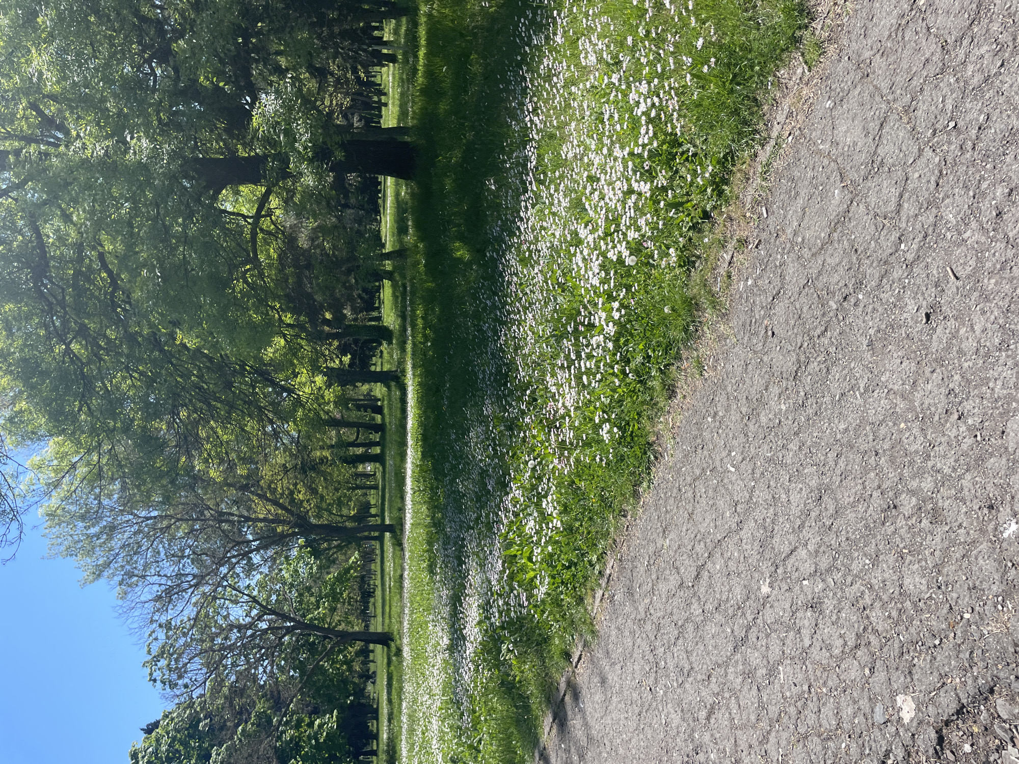 Spring morning scenes captured at Burgas park with equestrian statue