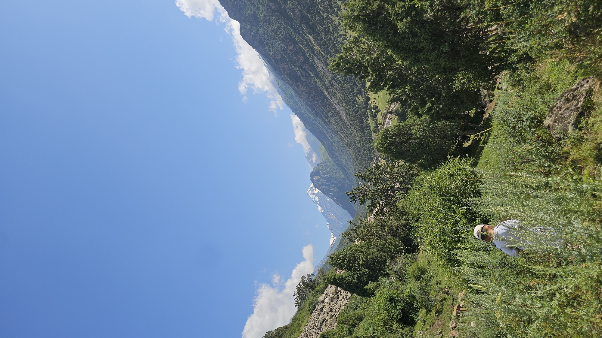 Small figure in a grassy mountain field, back turned.