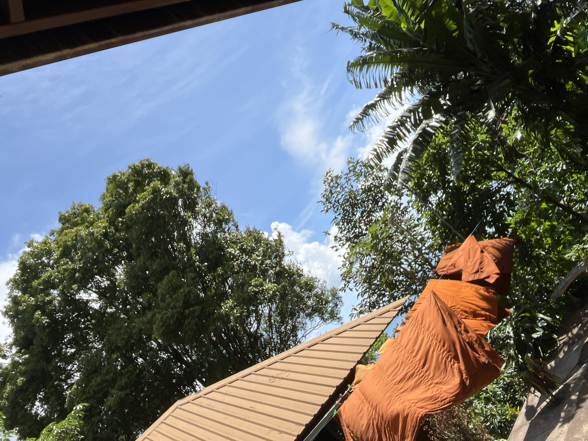 Slow morning scenes around a Patong neighborhood