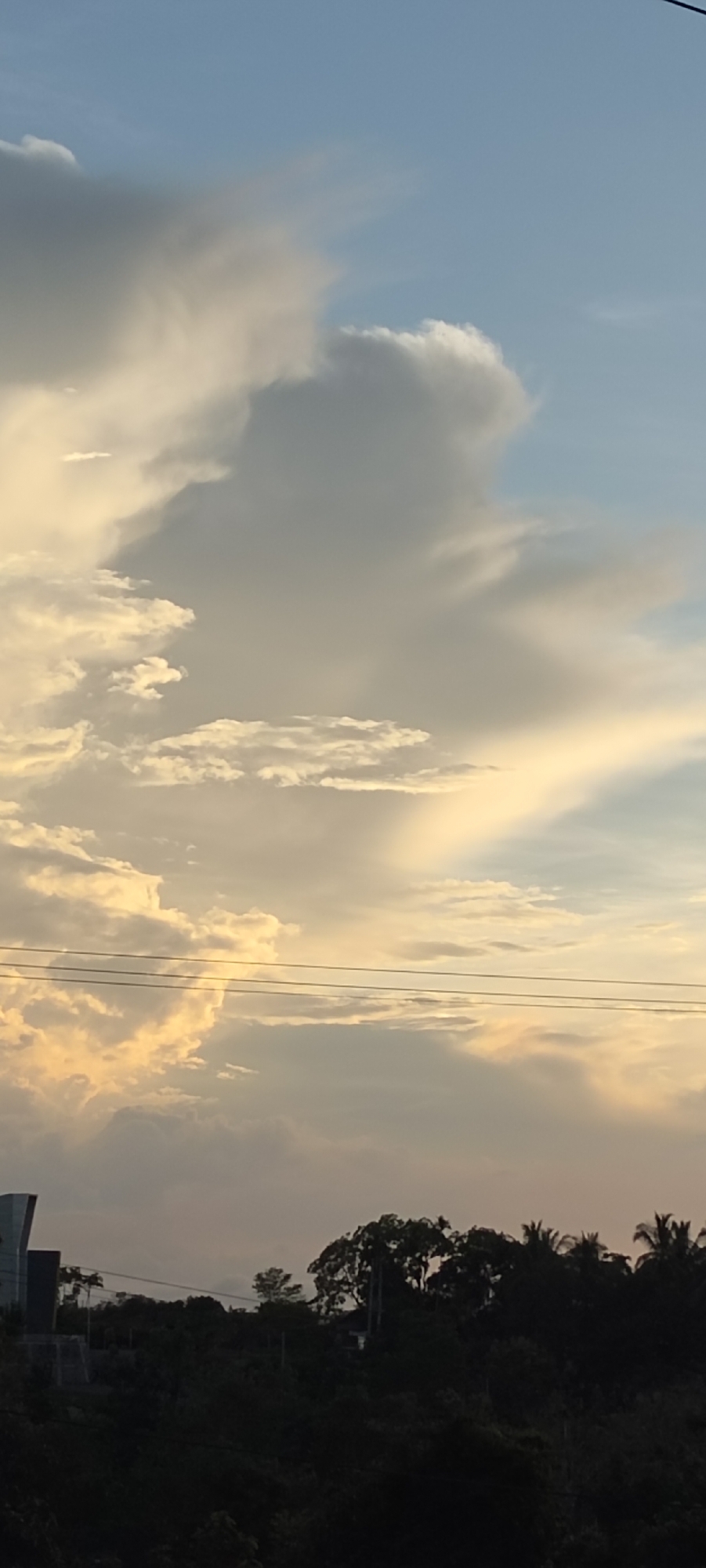 Sunset documented through trees in Lhokseumawe, Indonesia