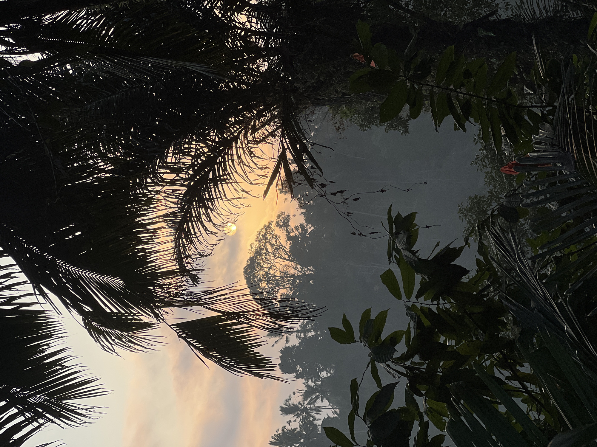 Quiet road and misty forest edges in Rendang's tropical highlands