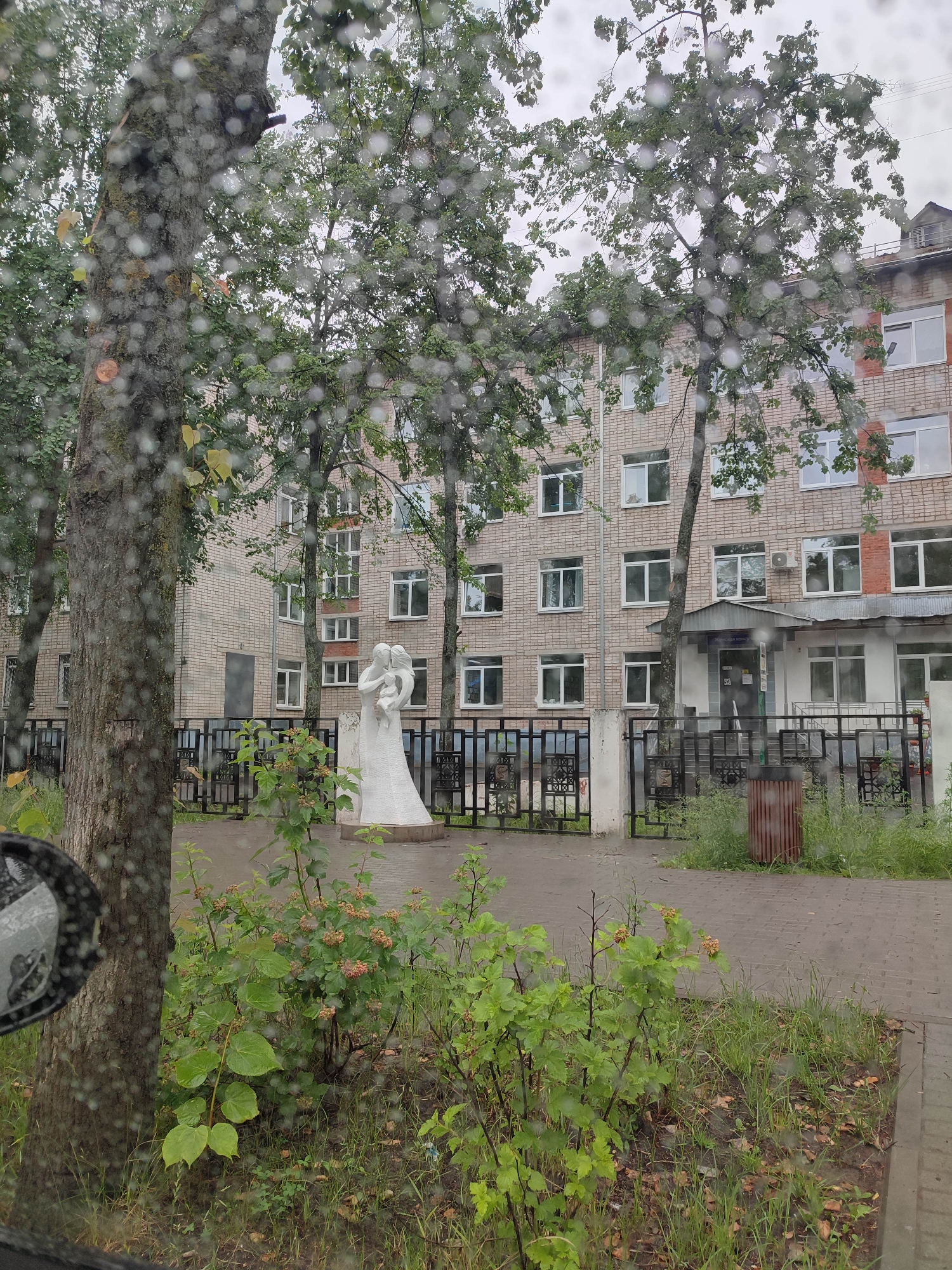 Morning scenes: family sculpture, rainy drive, and tabby cat