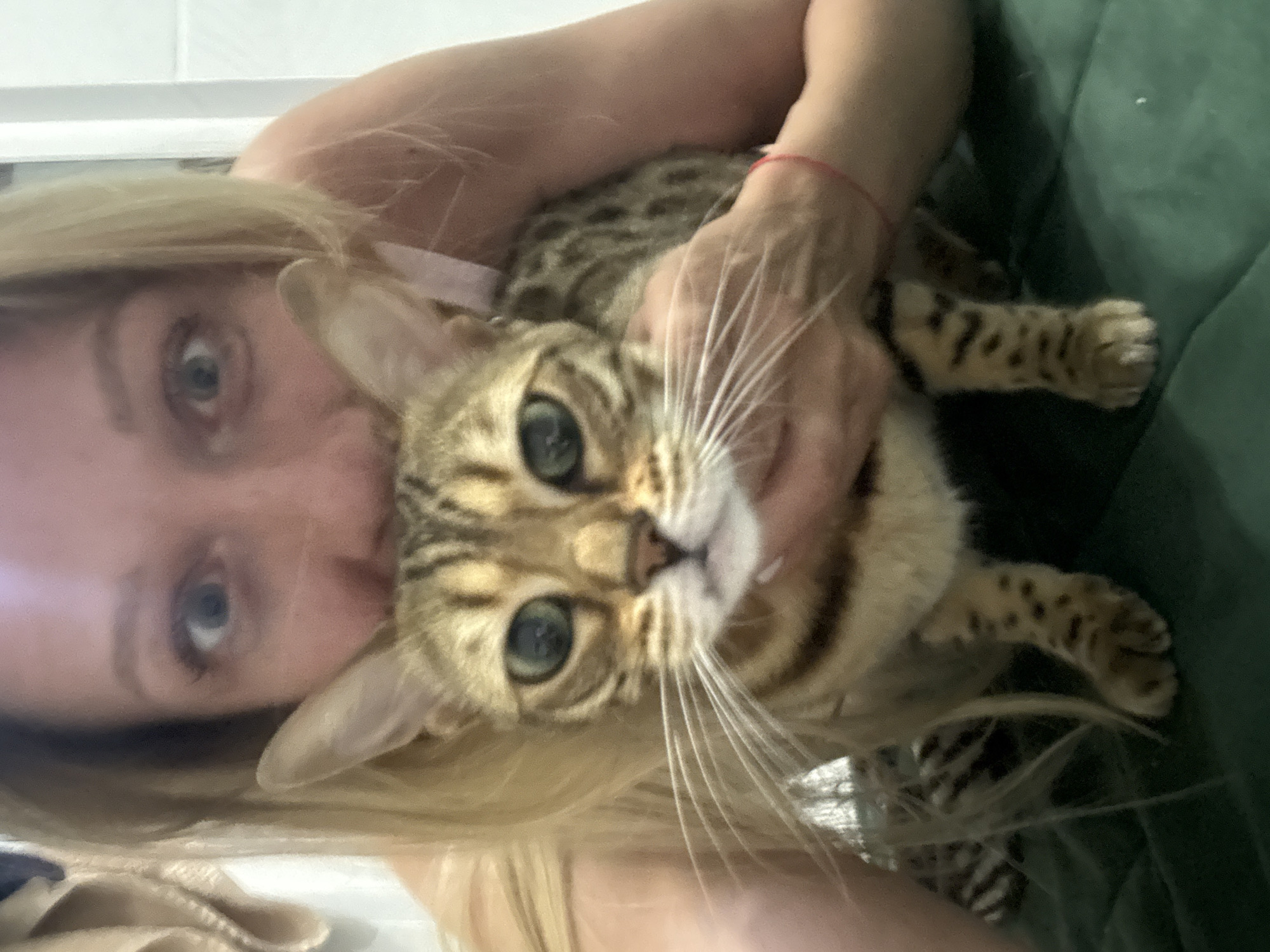 Children playing, Bengal cat posing indoors during summer evening