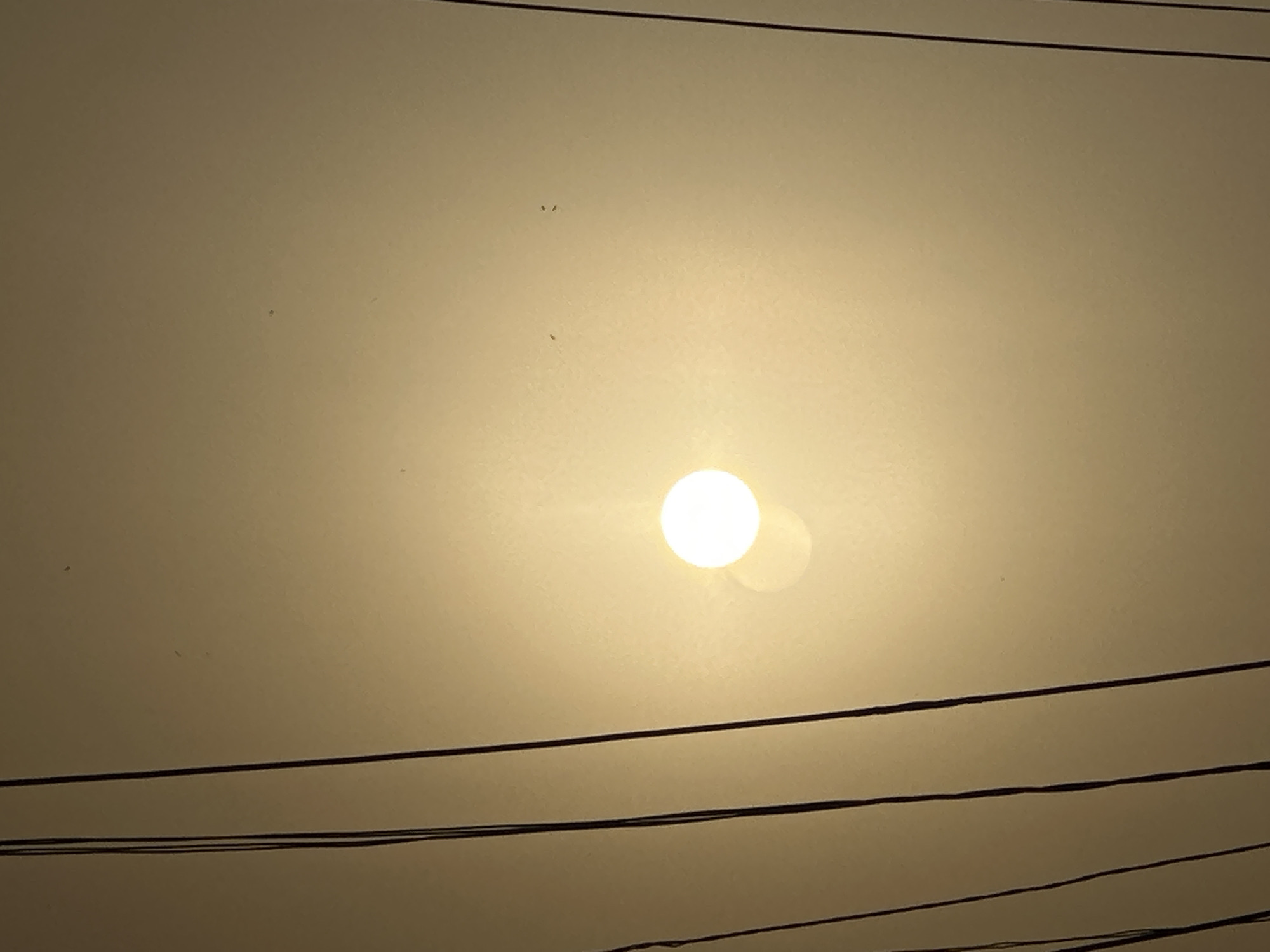 Hazy sun observed through smoky atmosphere in urban area