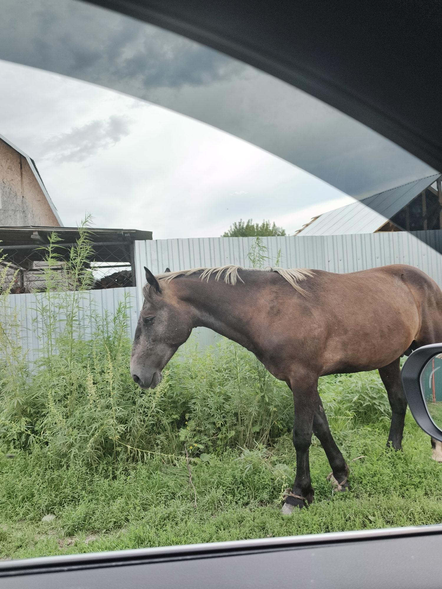 Rural roads, a roadside church, and a supermarket run