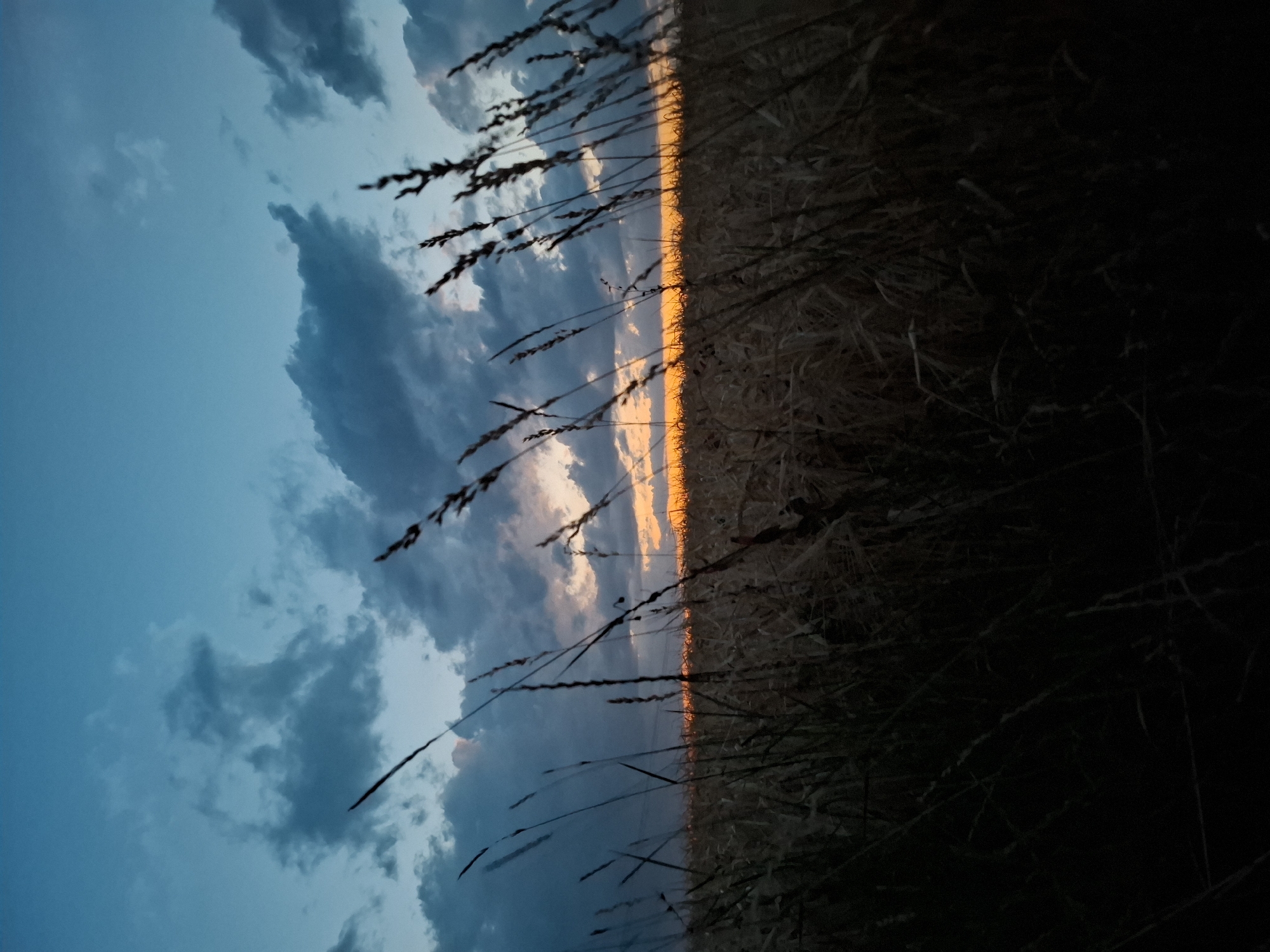 Sunset fading to dusk over Kirchardt fields