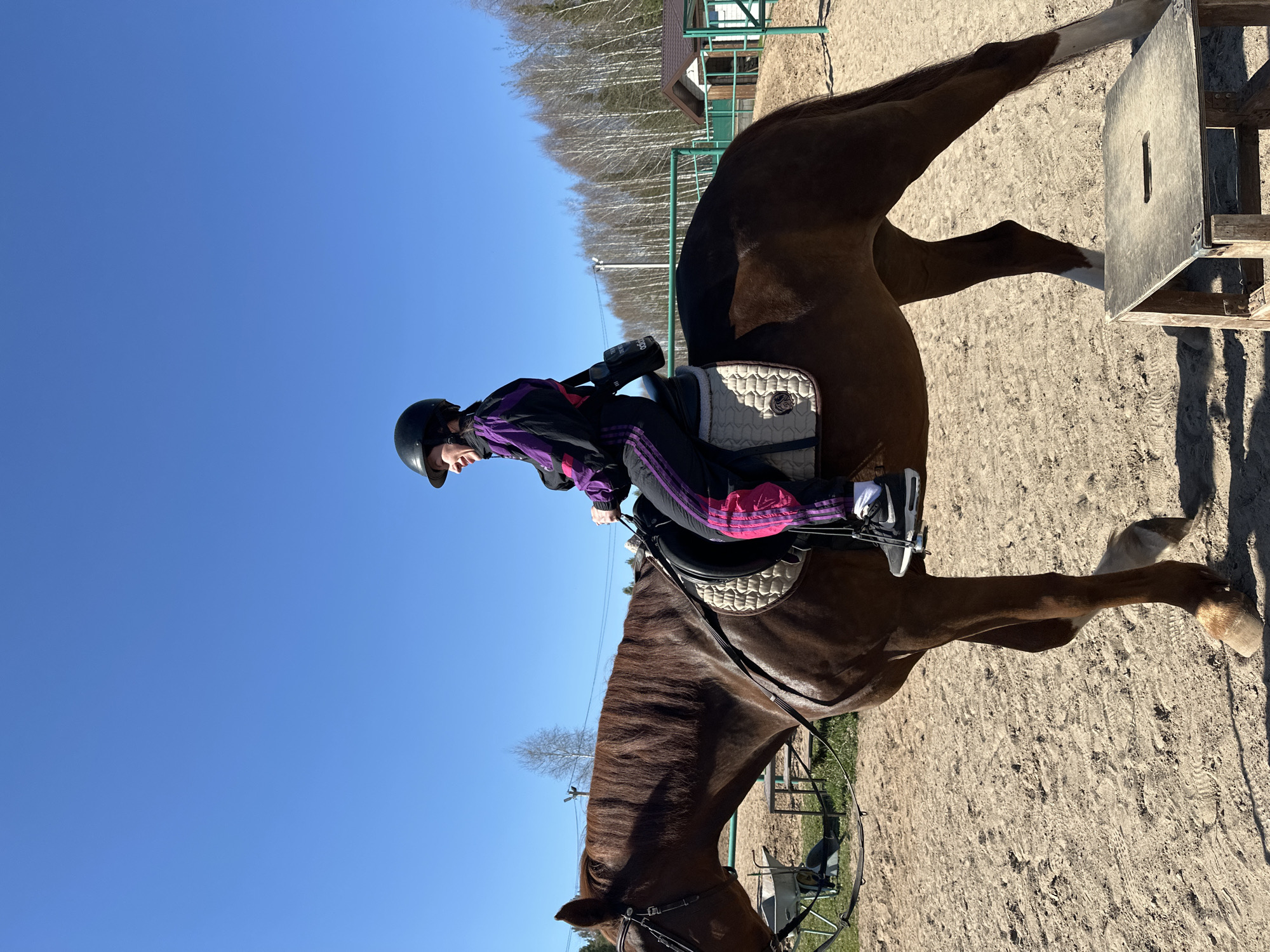 Equestrian training session documented in Russian village arena