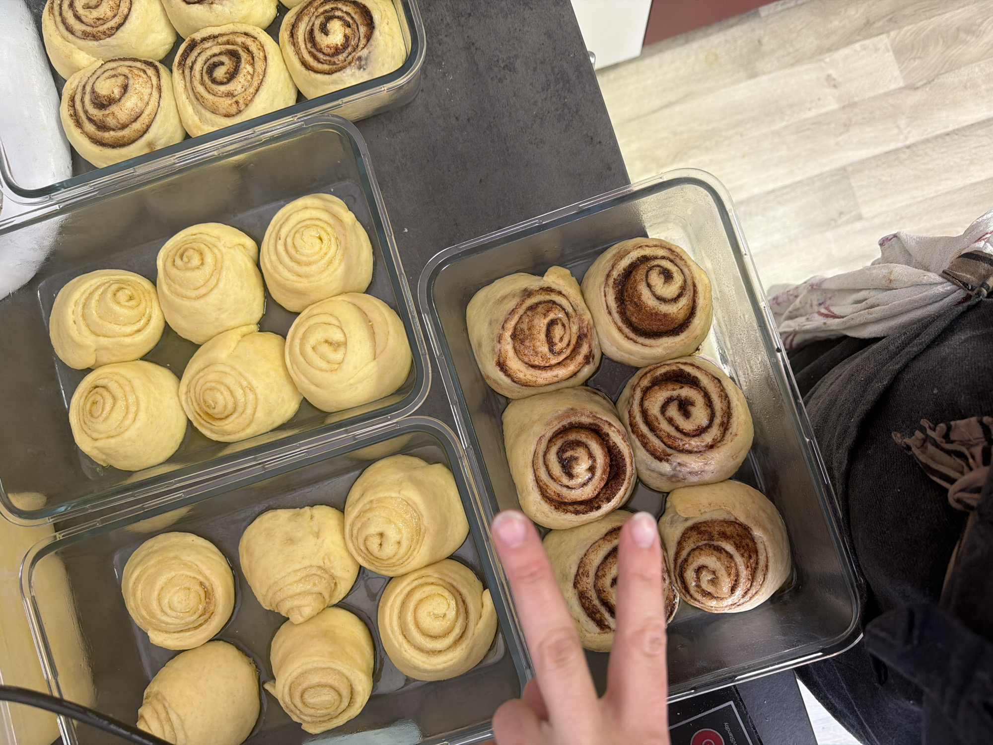 Cinnamon rolls captured at various baking stages in Meisenheim