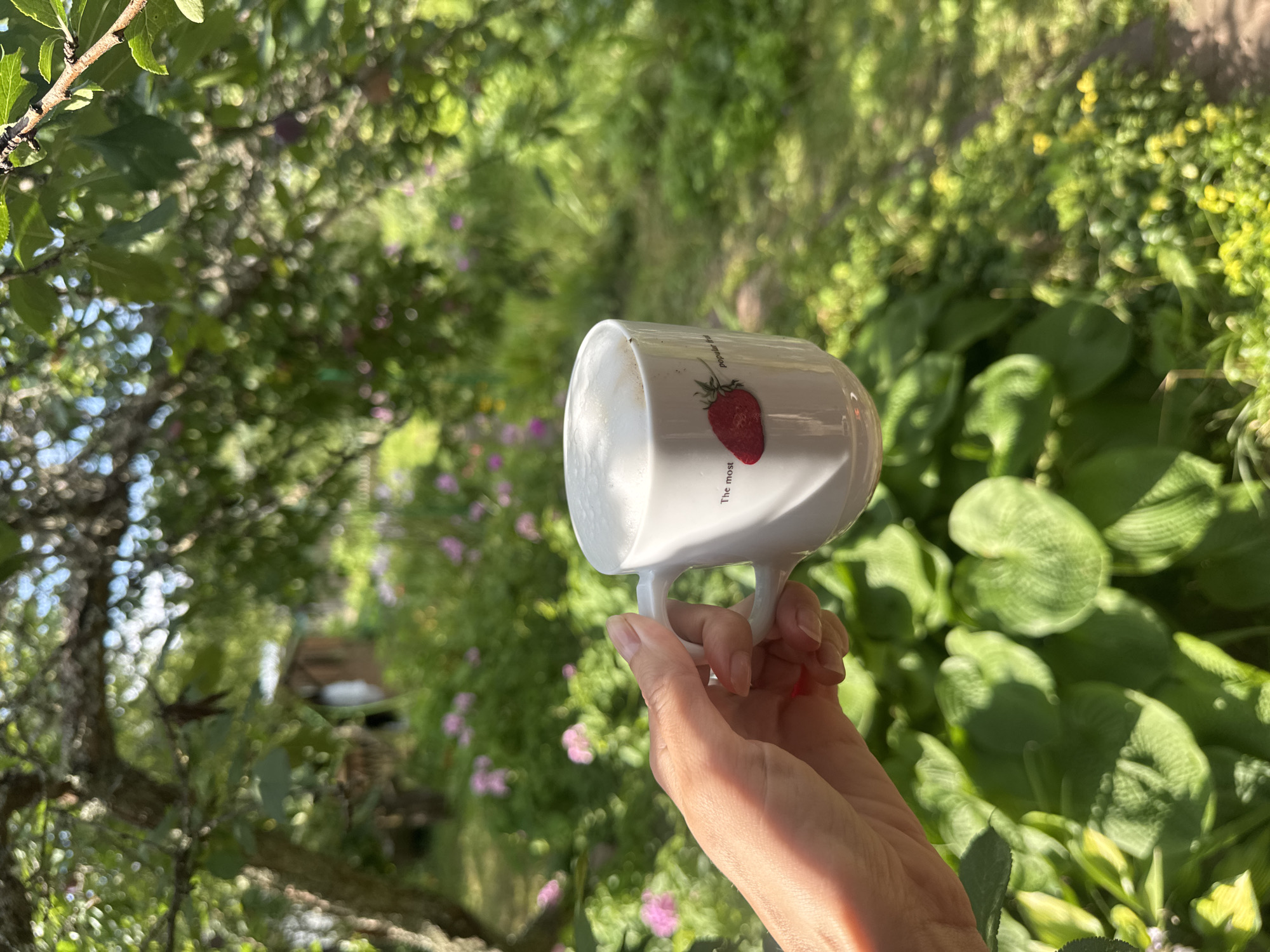 Garden morning at a Russian dacha: coffee, bikes, and lily ponds