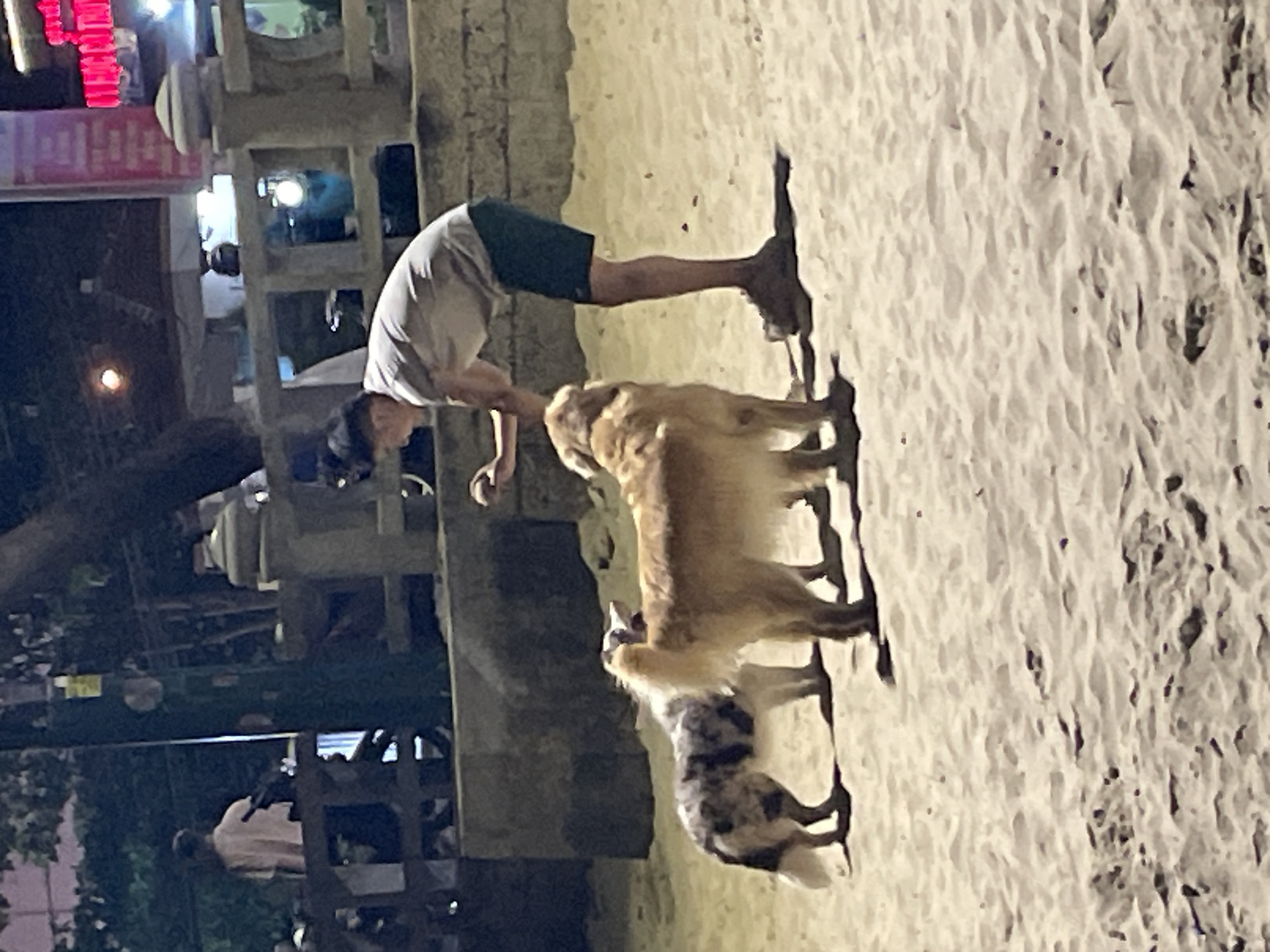 Nighttime beach life captured in Bắc Nha Trang, Vietnam