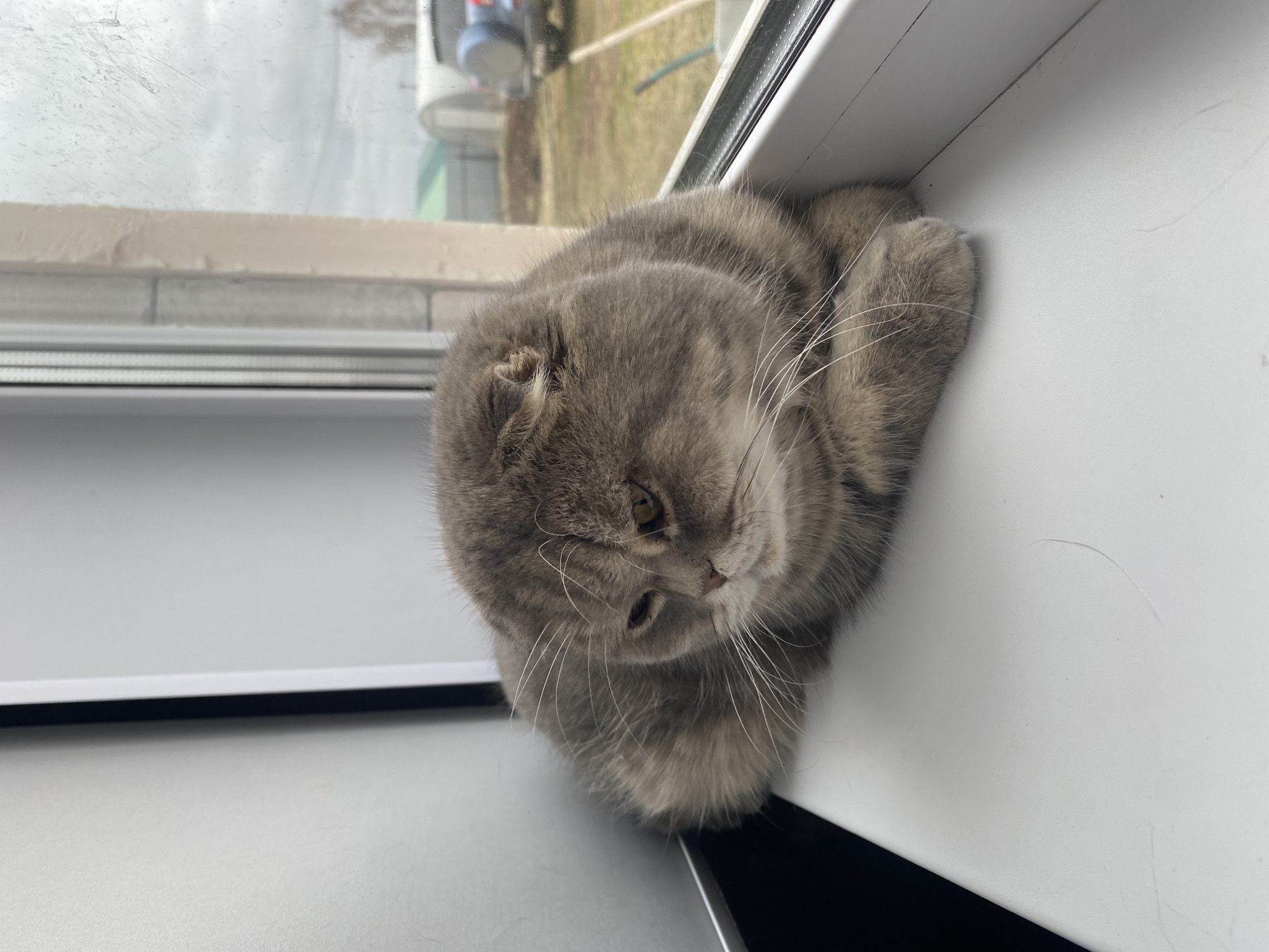 Quiet morning moments captured in Russian home