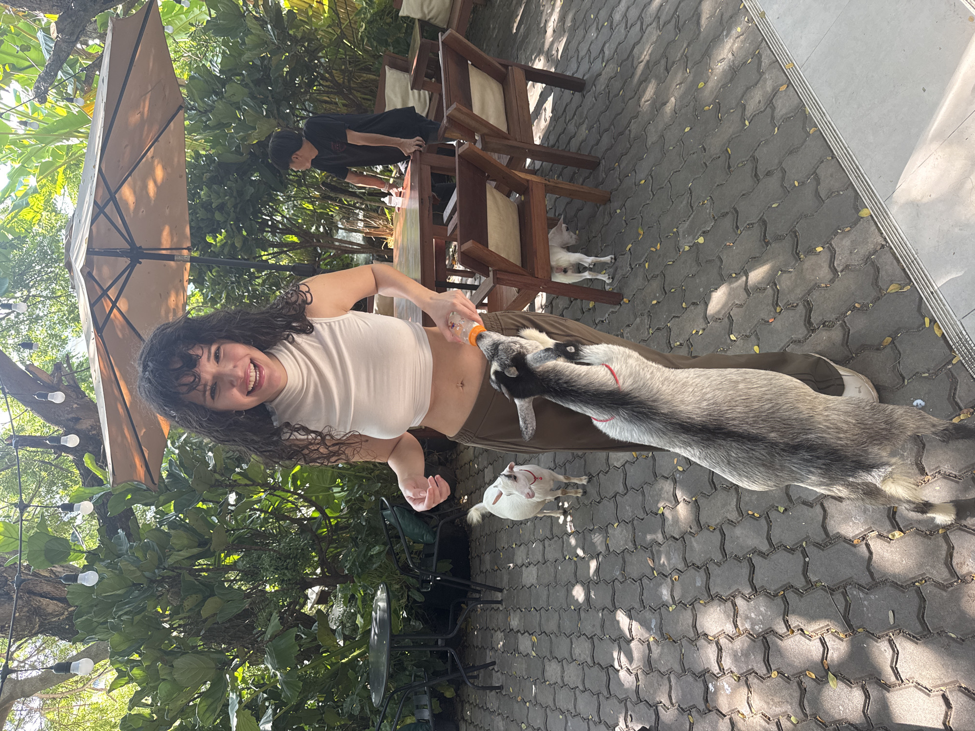 Bottle-feeding goats and brunch at a Bangkok café