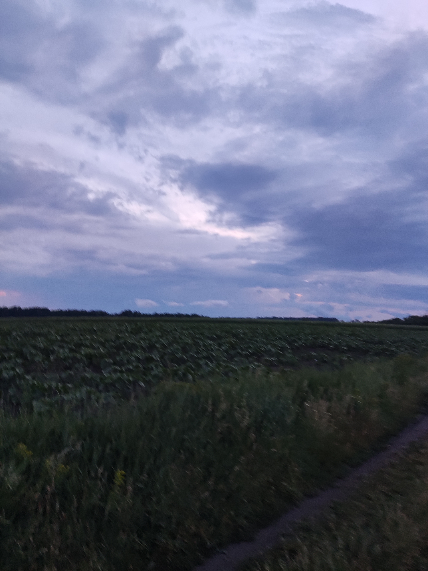Evening countryside documentation captures landscapes, portraits in Ustyvytsia, Ukraine