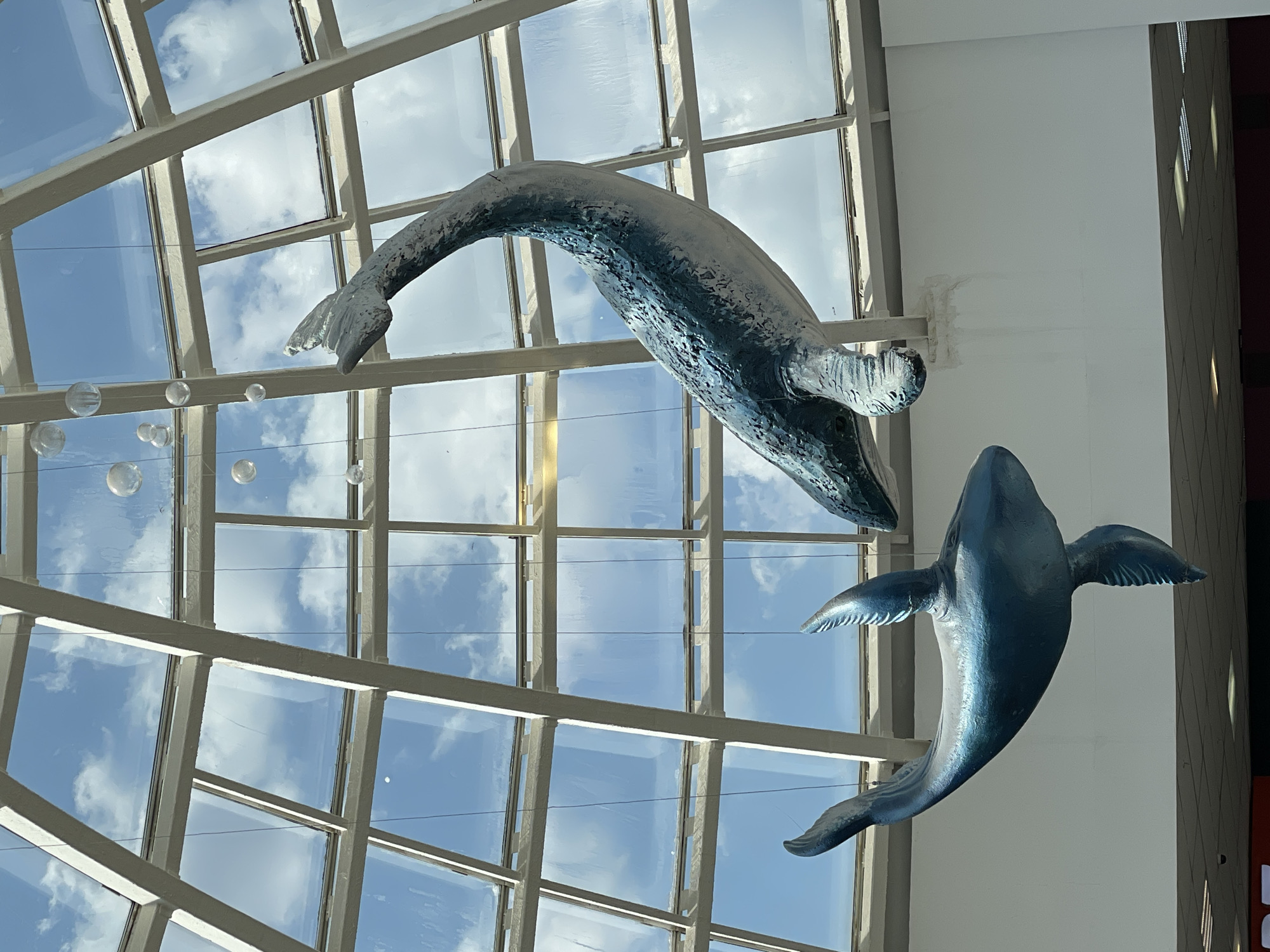 Whale sculptures displayed in glass-ceiling interior, Izhevsk