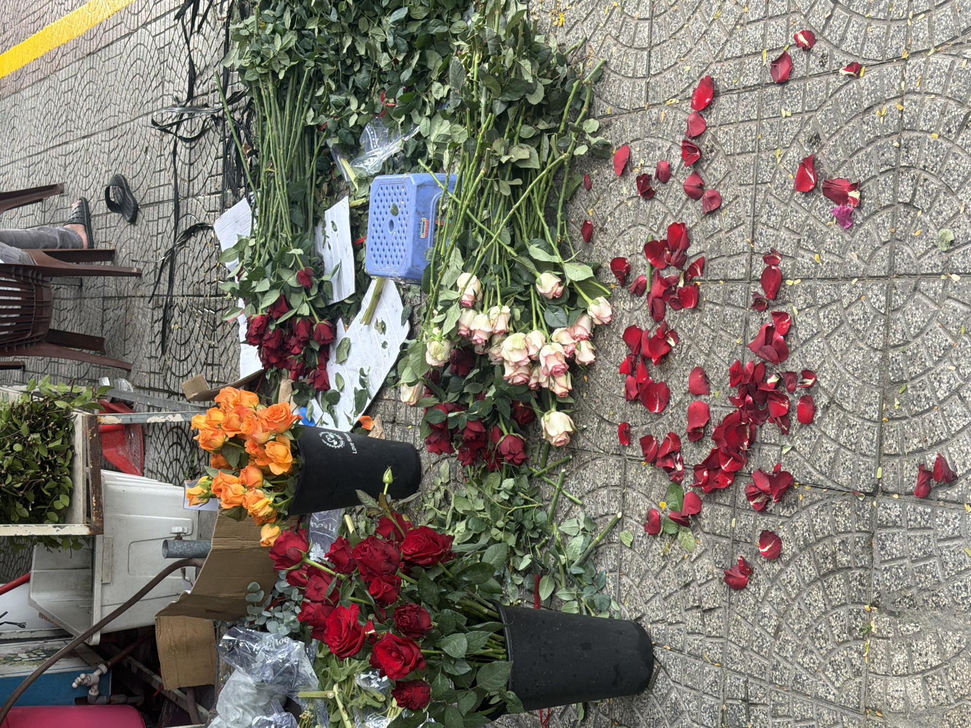 Street flower vendor displays roses on Đà Nẵng sidewalk