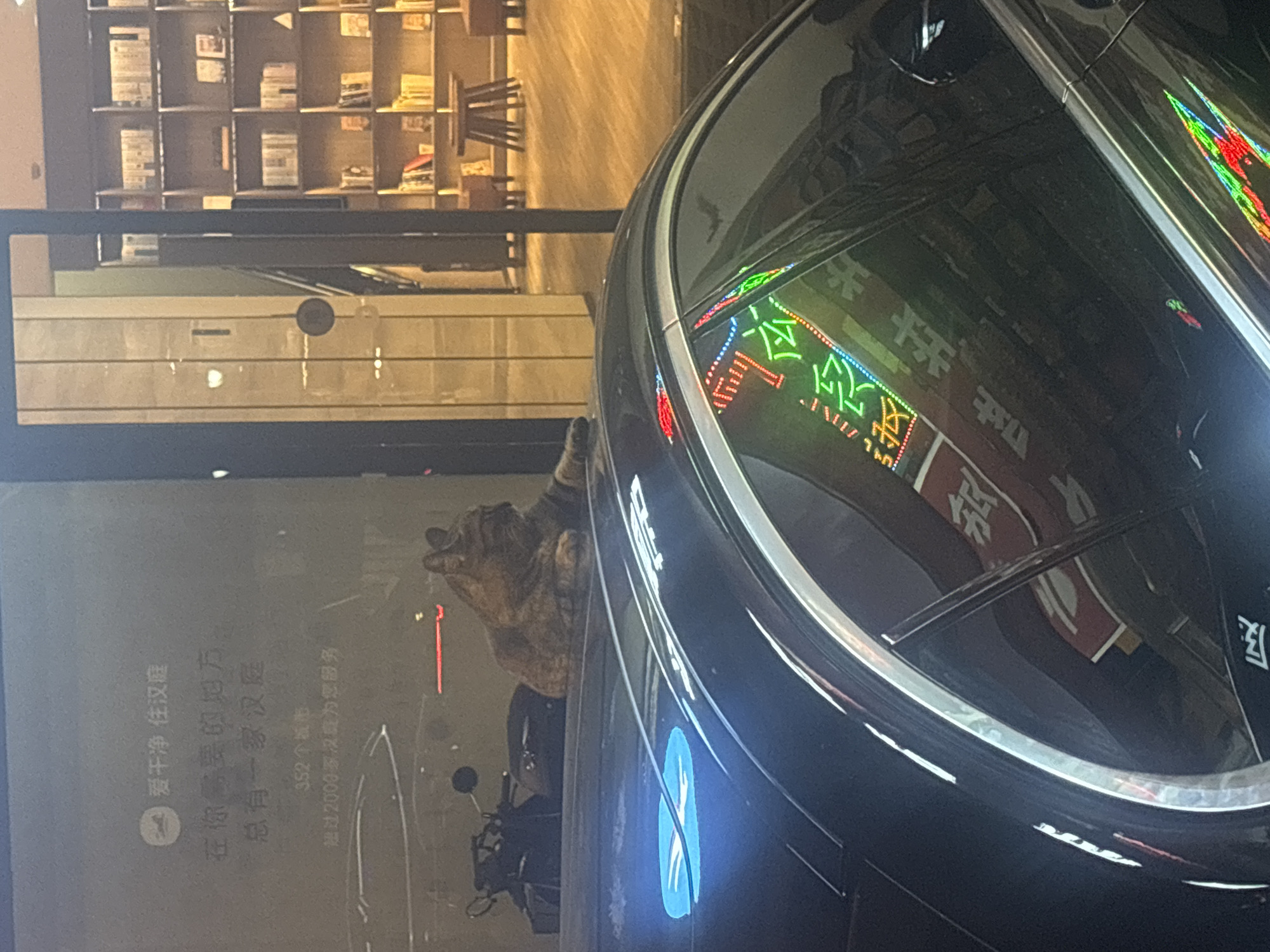 Suzhou Industrial Park nights: street food, neon, and rooftop cats