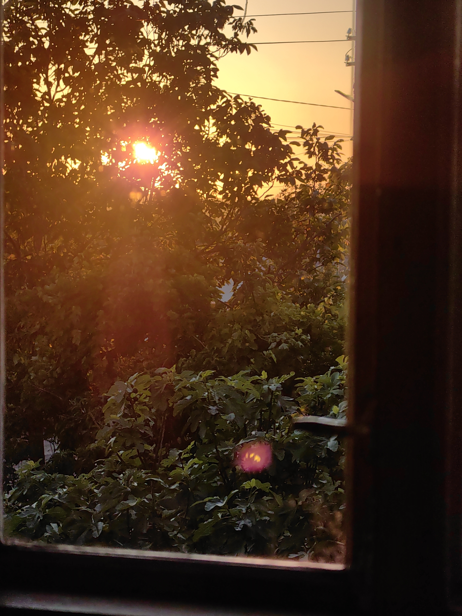 Sunset viewed through window with trees and power lines