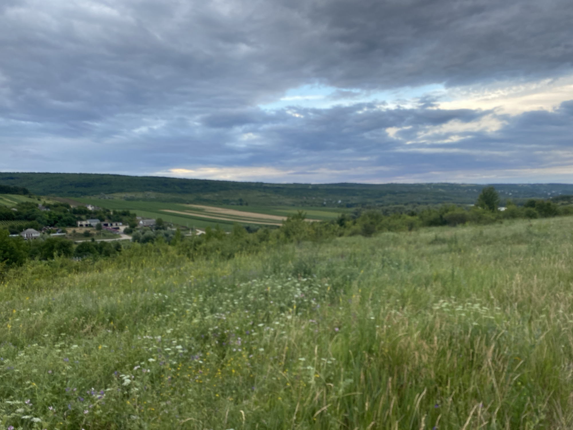 Rural fields and dirt paths on a cloudy evening in Horodca, Moldova