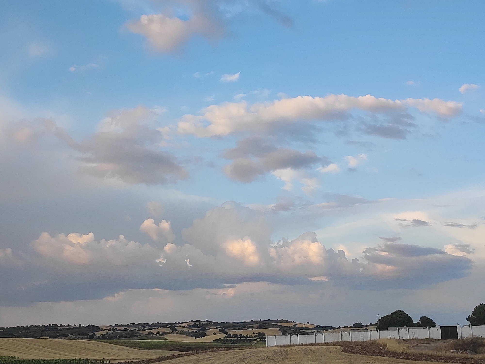 Sunset over sunflower fields in rural Cuenca, Spain