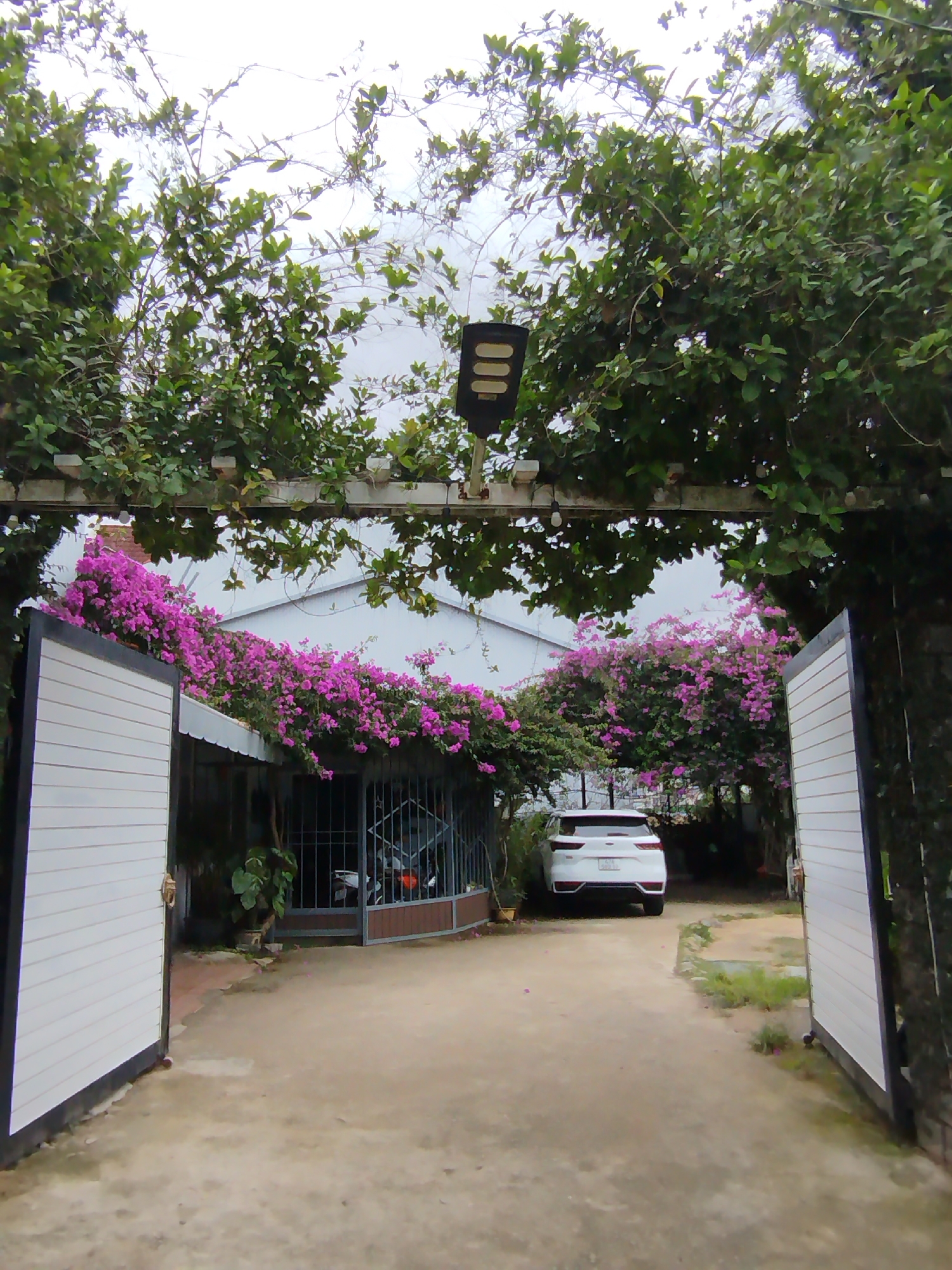 Overcast morning documented in Da Lat residential neighborhoods