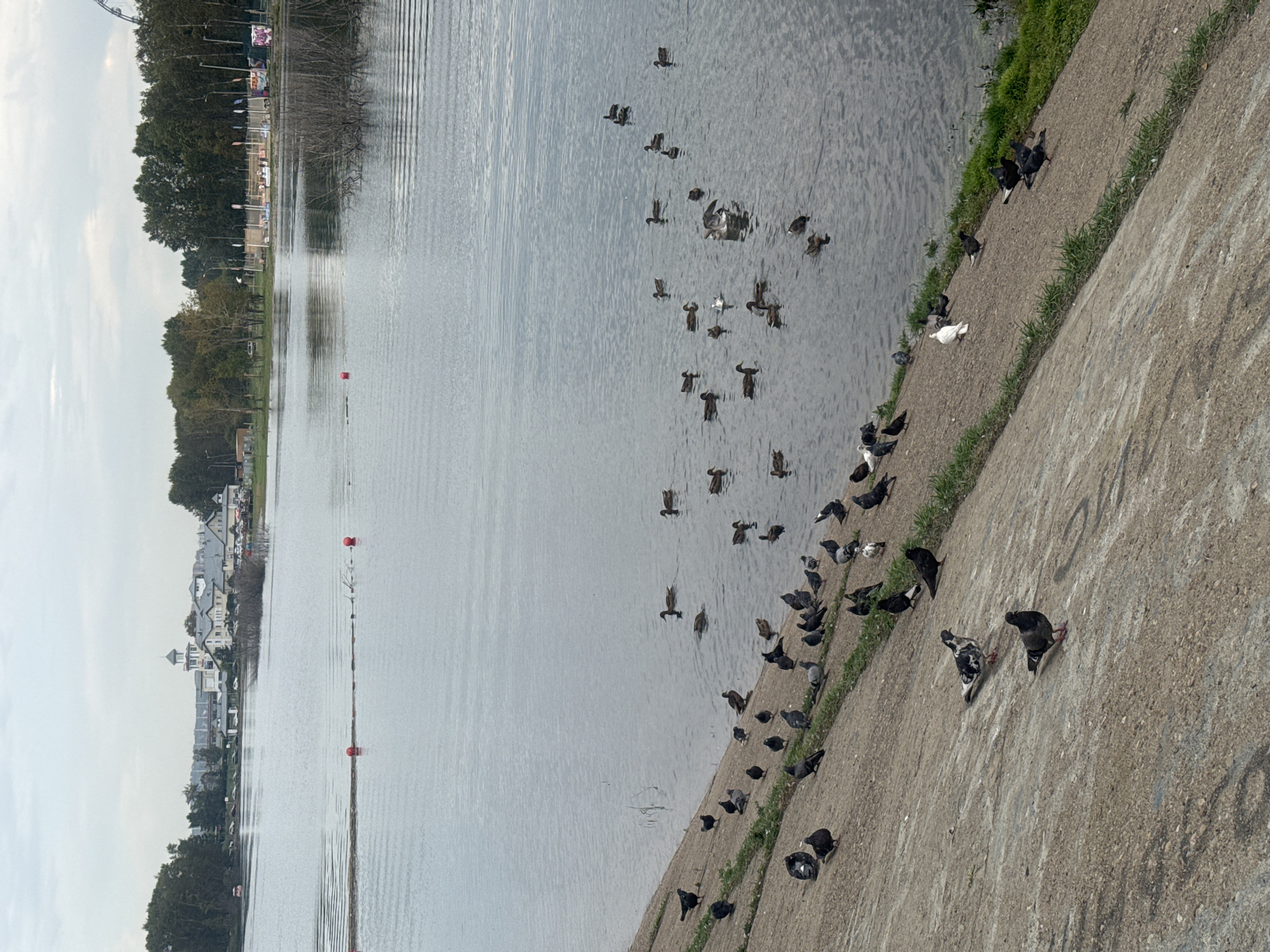A quiet morning along Irkutsk's Angara River waterfront
