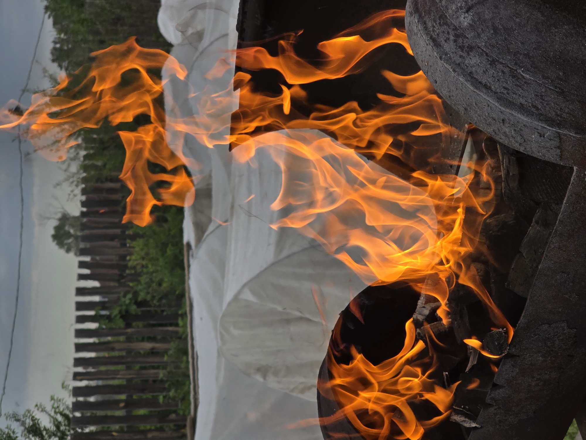 Outdoor barbecue gathering features grilled fish, fresh salads under rainbow