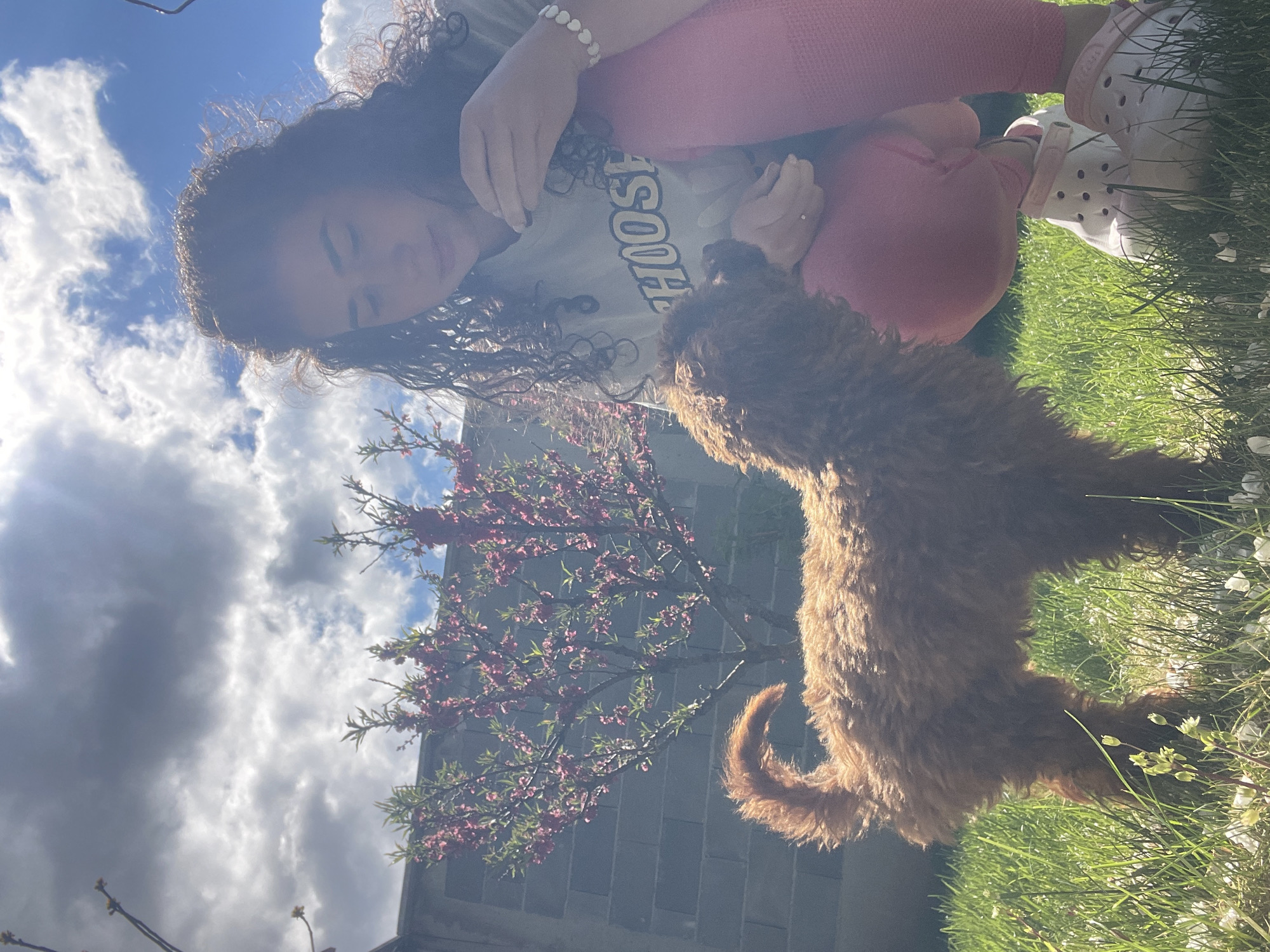 Woman enjoys morning playtime with poodle puppy in Sofia