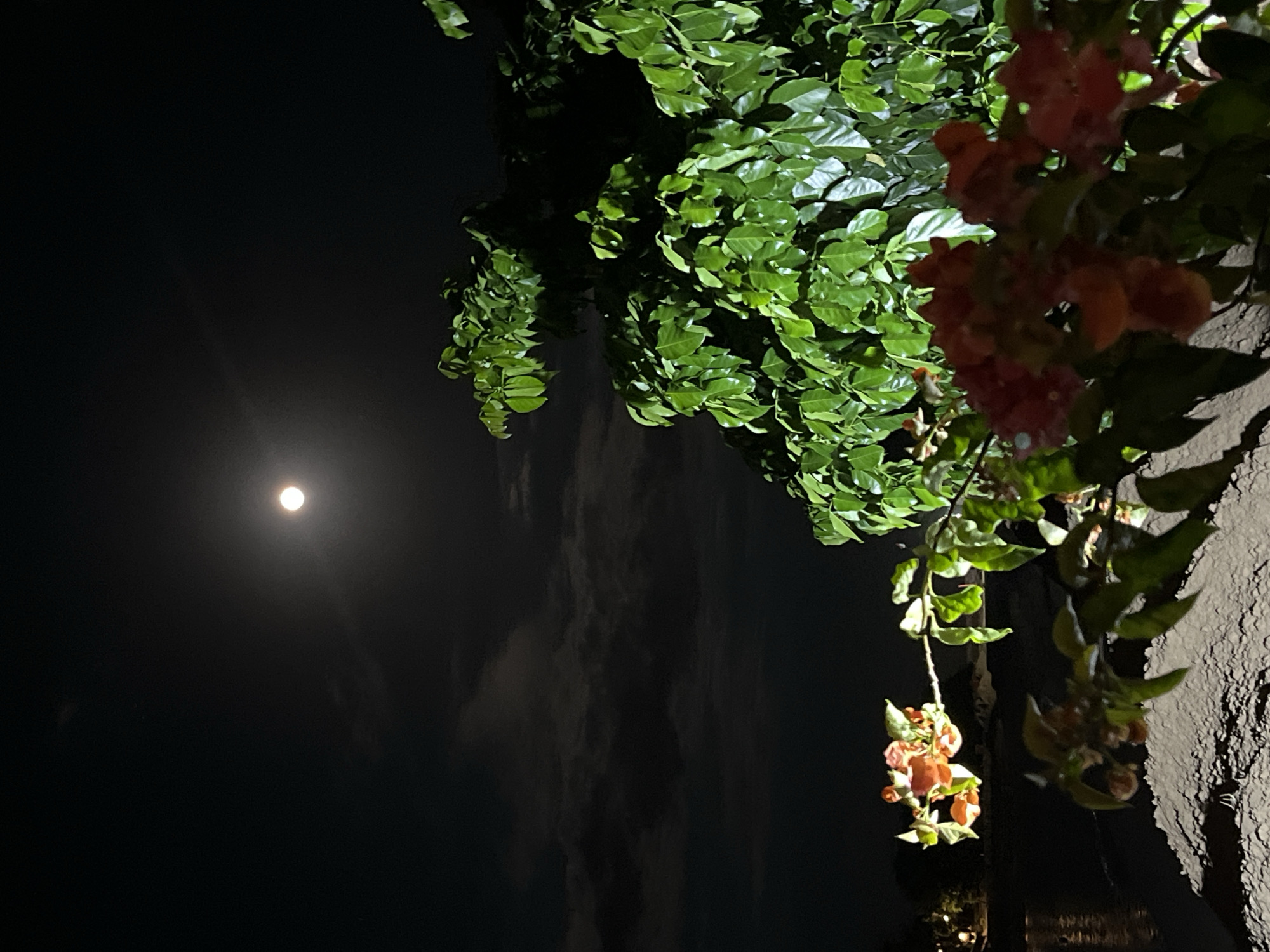 Moonlit evening captured in Kuta Selatan coastal scenes